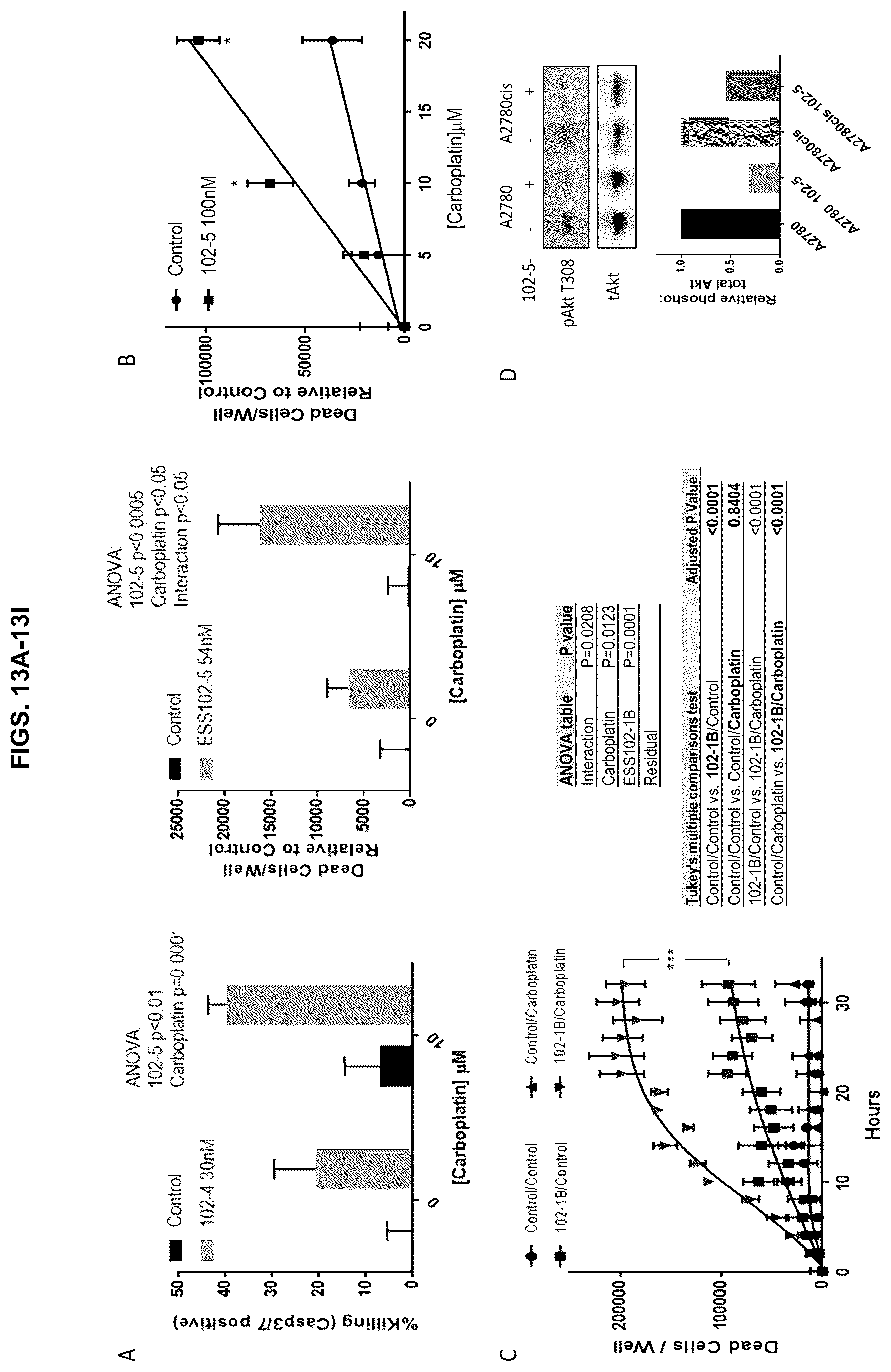 Patent US12129305 Figure 14 – Targeting CLPTM1L for treatment and prevention of cancer