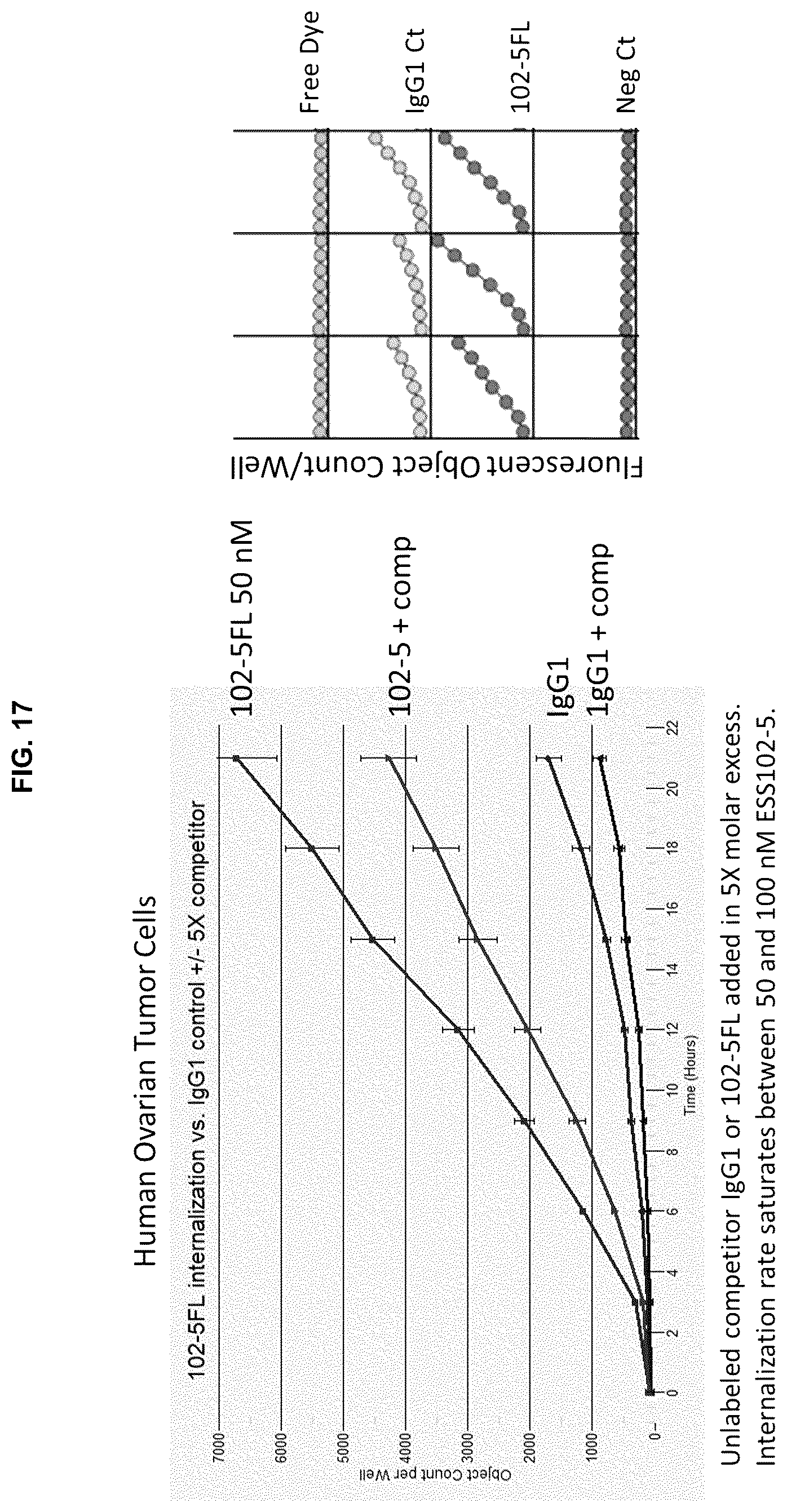 Patent US12129305 Figure 19 – Targeting CLPTM1L for treatment and prevention of cancer
