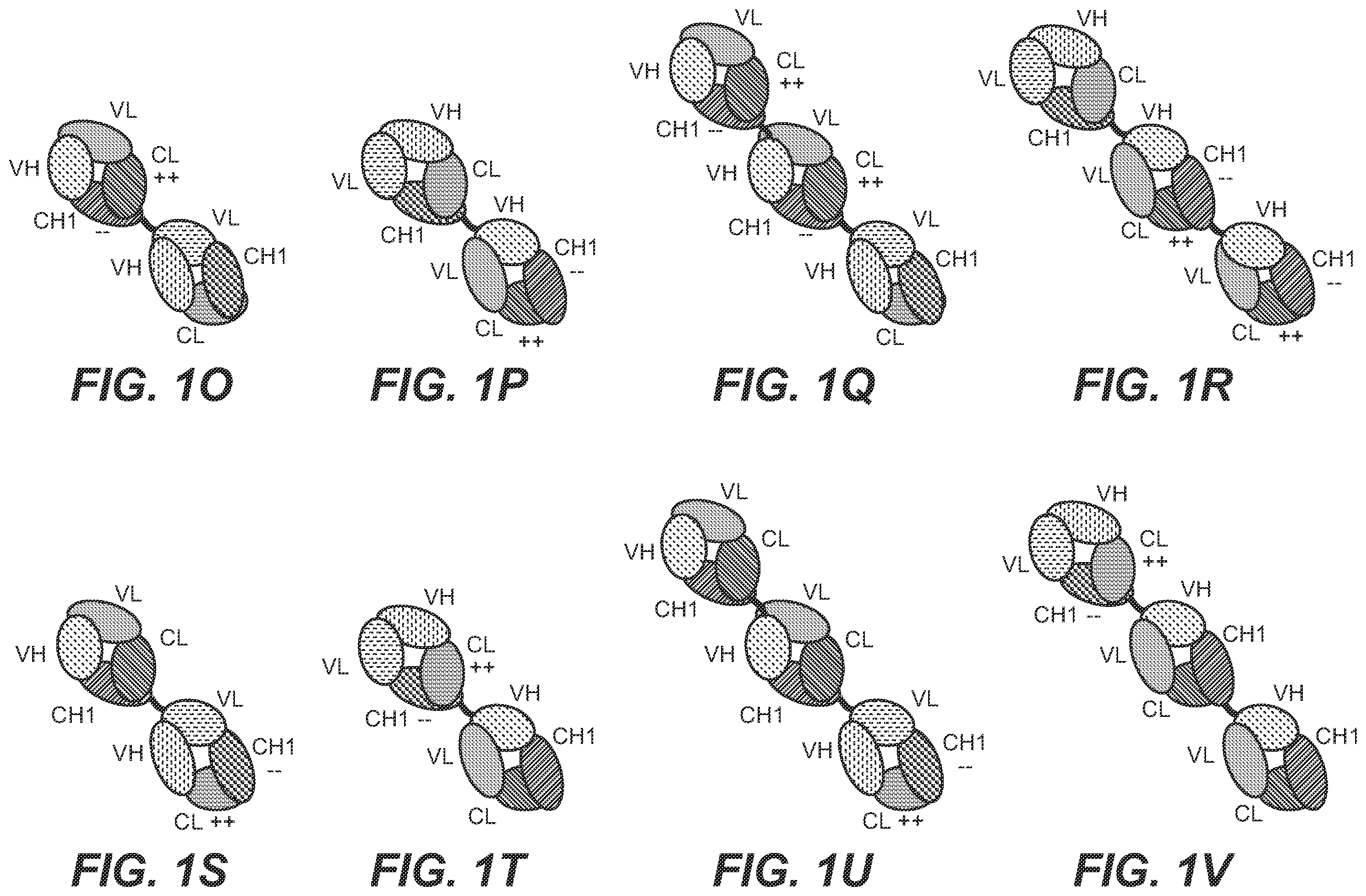 Patent US12129306 Figure 3 – Antibodies binding to STEAP-1