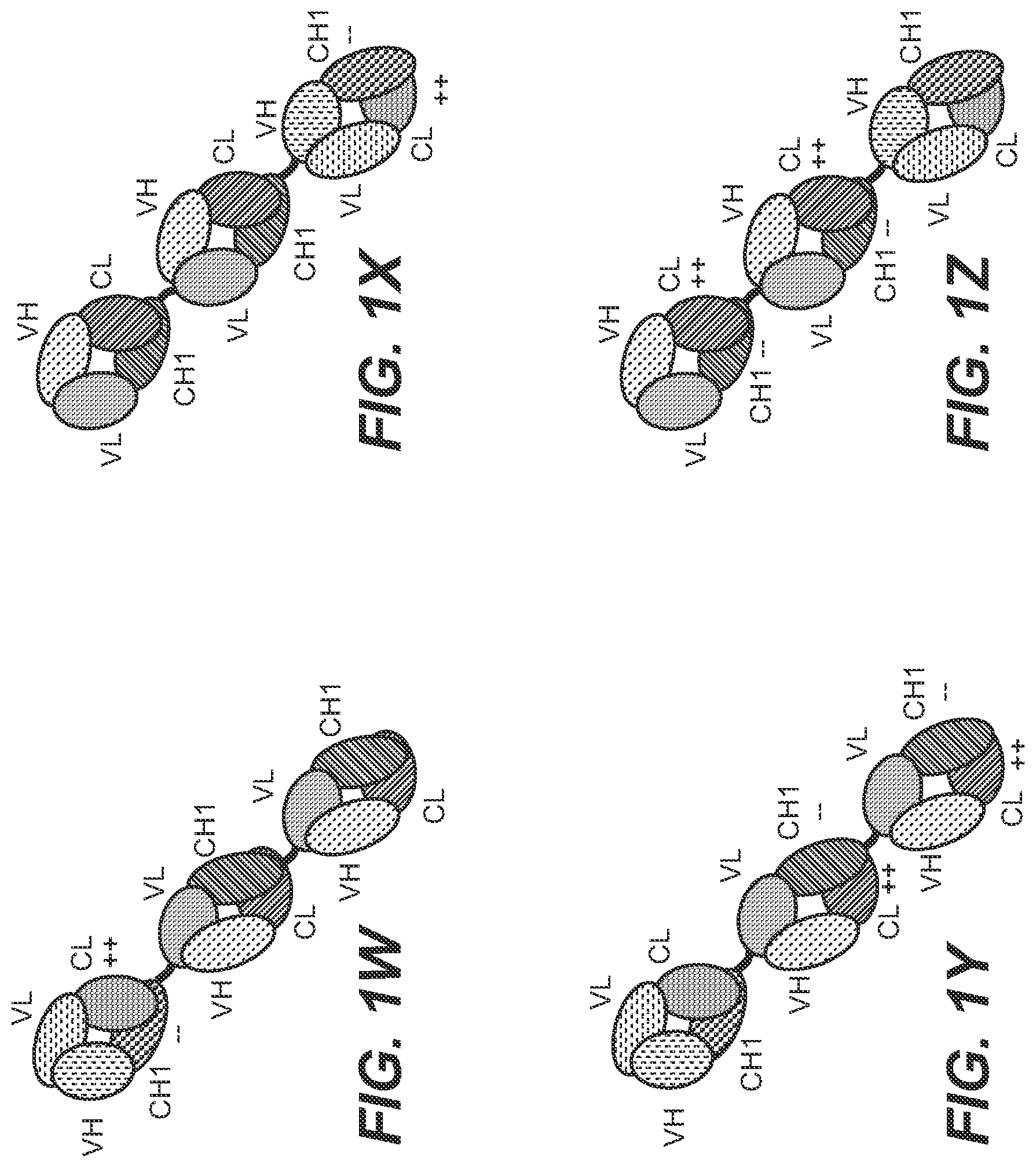 Patent US12129306 Figure 4 – Antibodies binding to STEAP-1