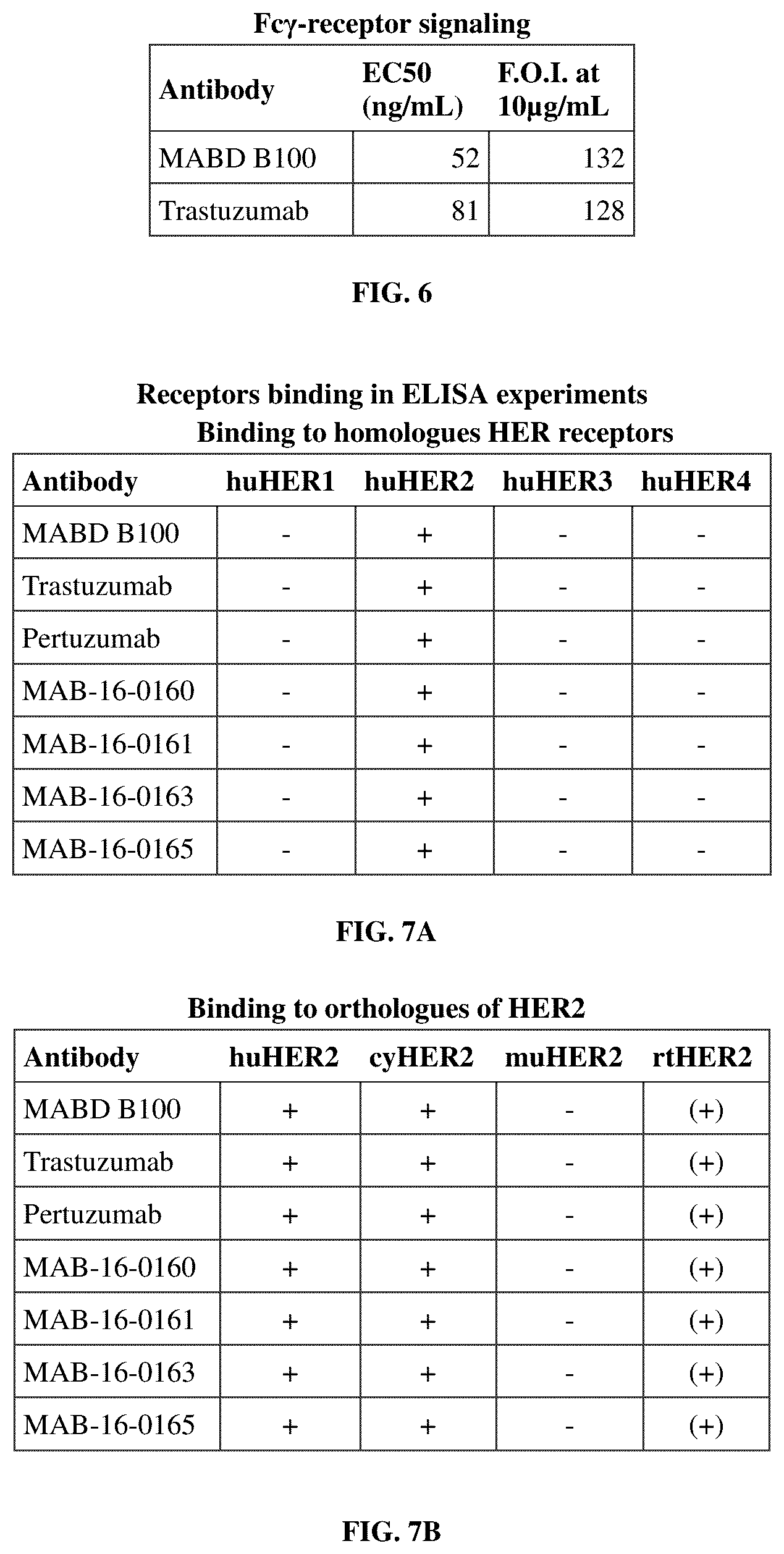 Patent US12129307 Figure 9 – HER-2 binding antibodies