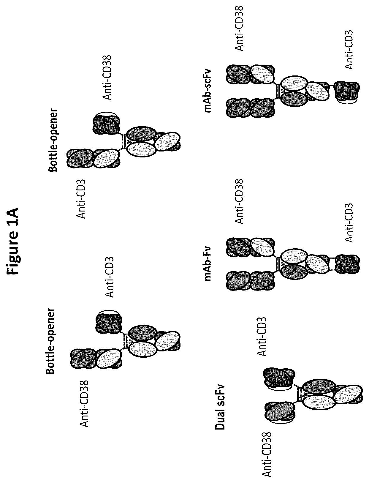 Patent US12129309 Figure 1 – Heterodimeric antibodies that bind CD3 and CD38