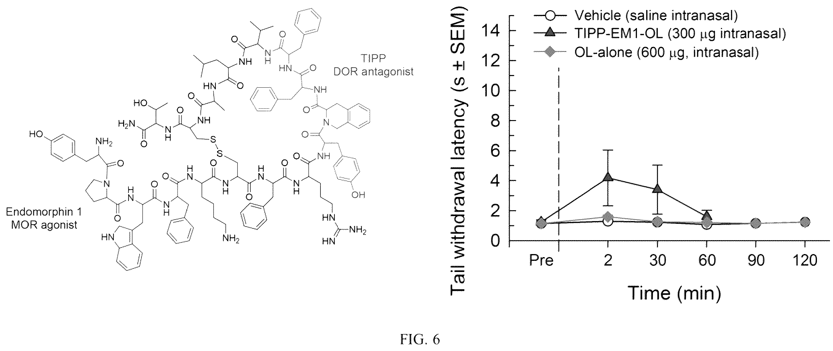 Patent US12129311 Figure 6 – Cyclic peptide combinatorial libraries