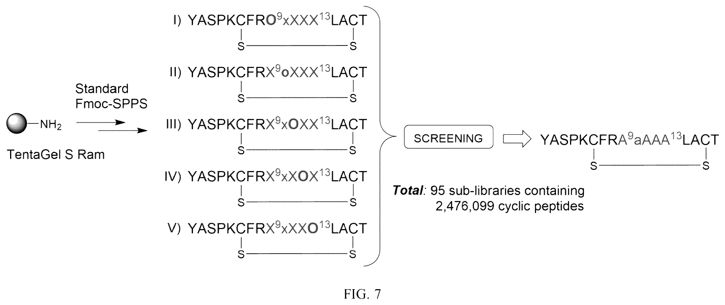 Patent US12129311 Figure 7 – Cyclic peptide combinatorial libraries
