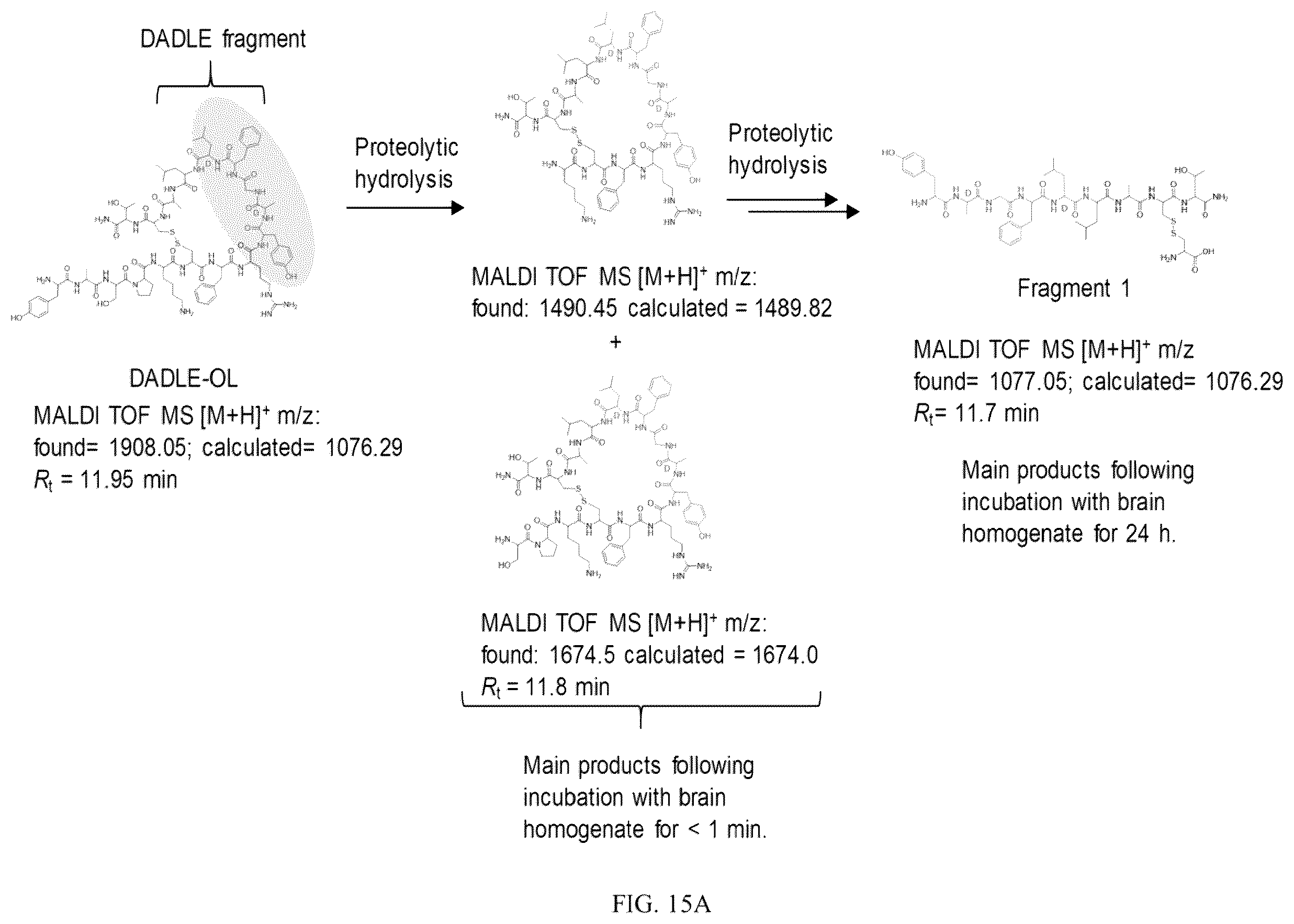 Patent US12129311 Figure 18 – Cyclic peptide combinatorial libraries
