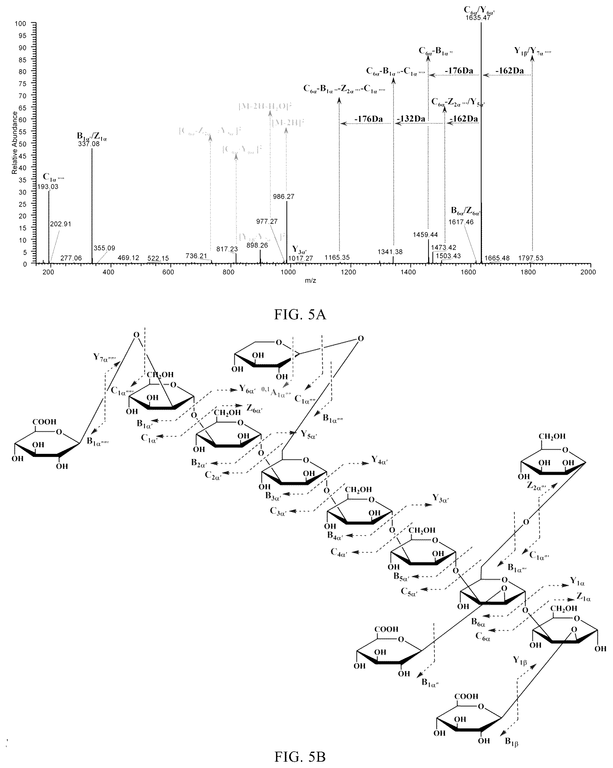 Patent US12129315 Figure 5 – Monomeric polysaccharide isolated from Auricularia auricula -judae, and preparation method and use thereof