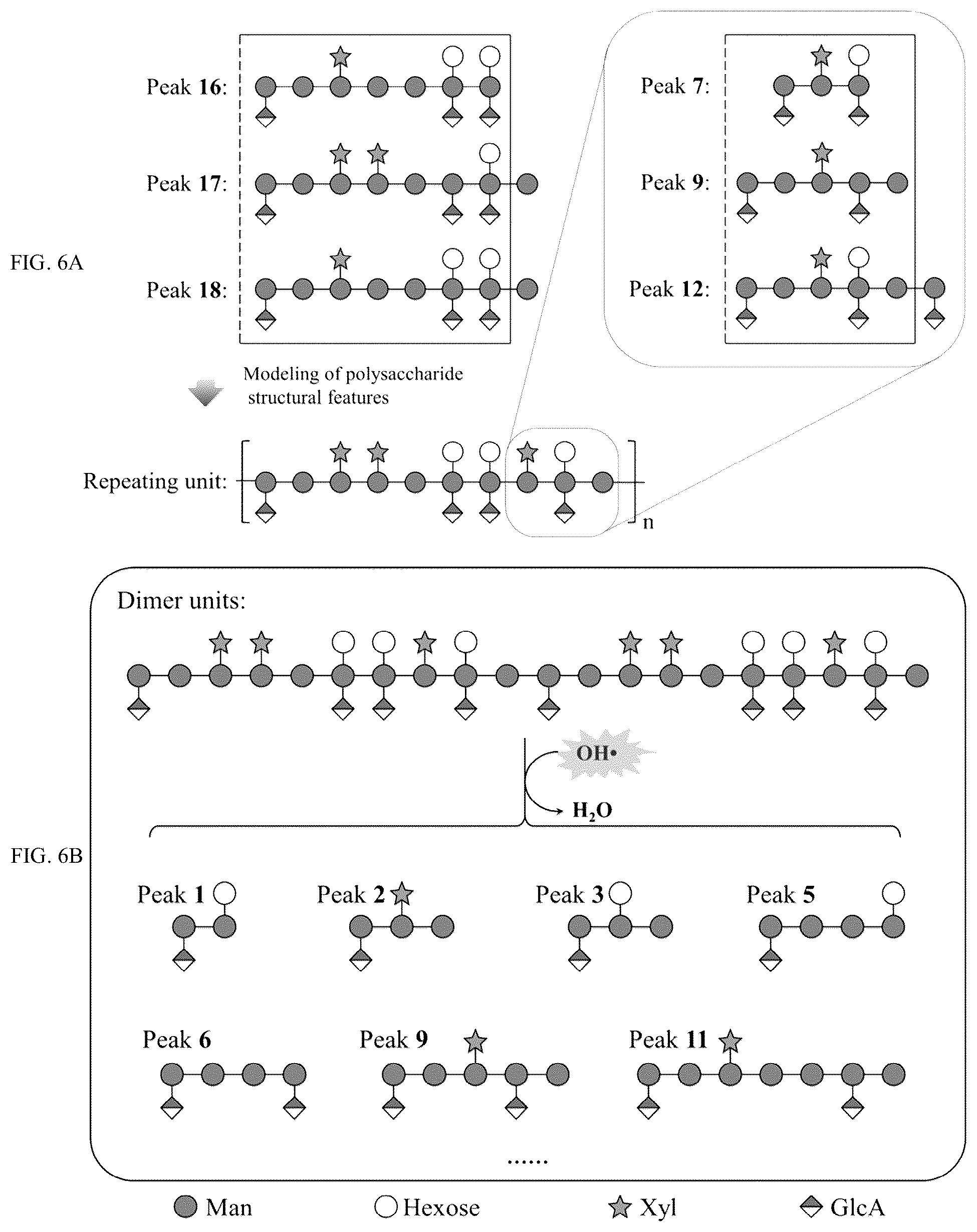 Patent US12129315 Figure 7 – Monomeric polysaccharide isolated from Auricularia auricula -judae, and preparation method and use thereof