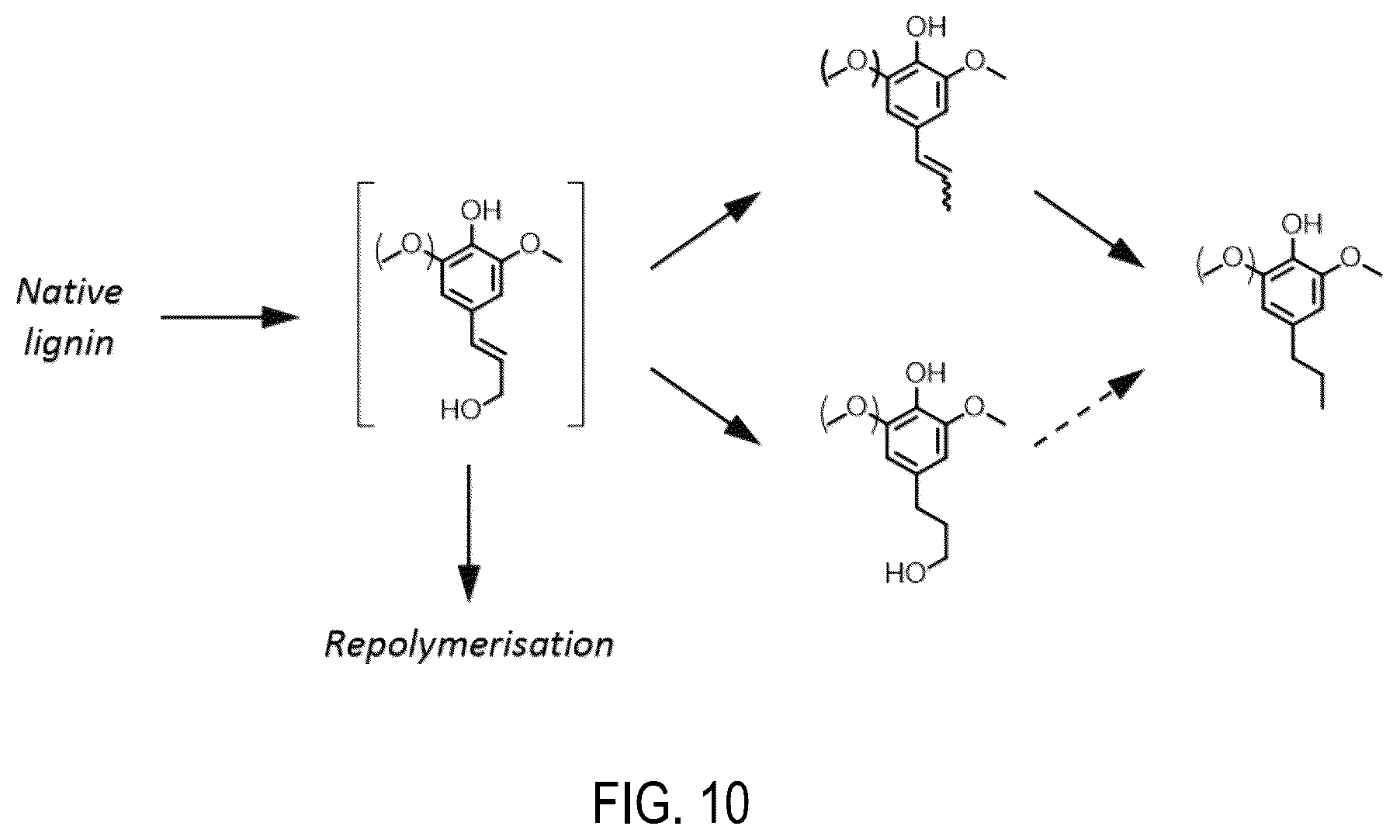 Patent US12129346 Figure 11 – Fractionation and depolymerisation of lignocellulosic material