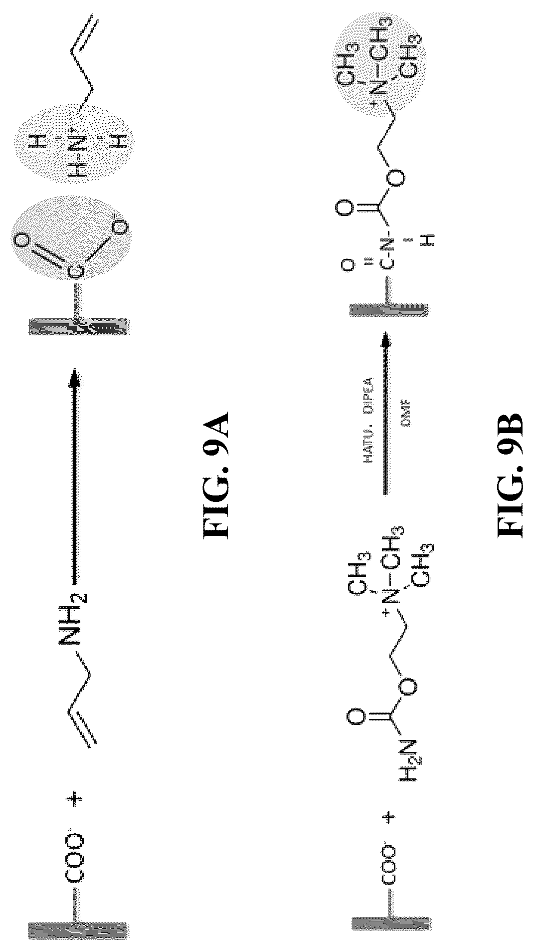 Patent US12129353 Figure 5 – Cellulose-enabled orientationally ordered flexible gels