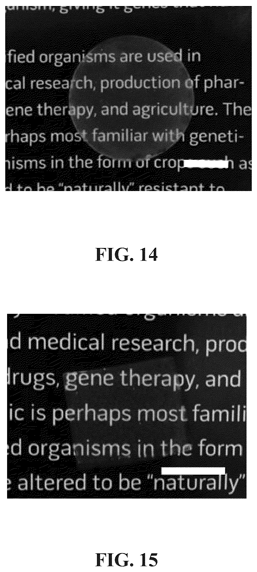 Patent US12129353 Figure 8 – Cellulose-enabled orientationally ordered flexible gels