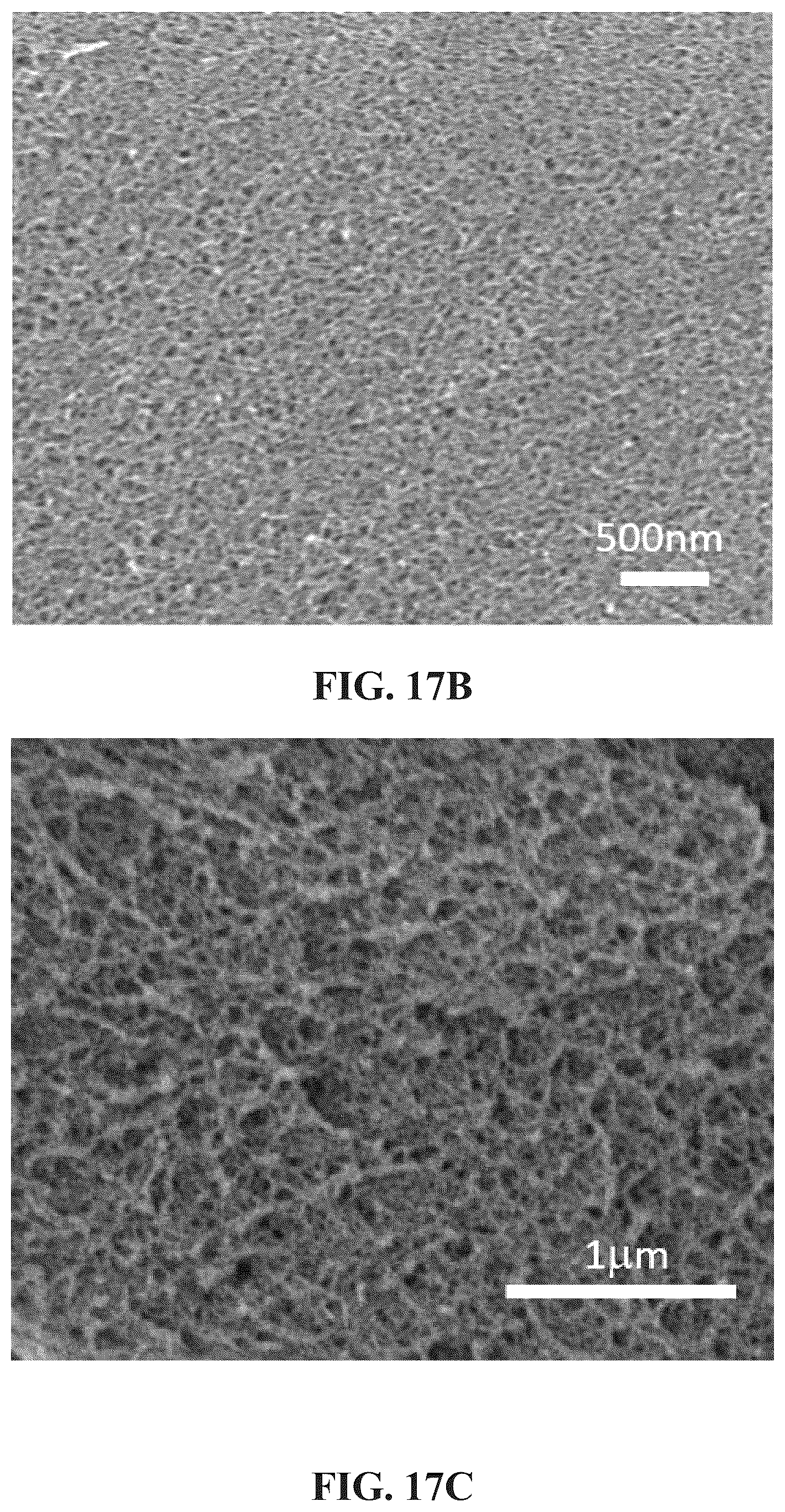 Patent US12129353 Figure 10 – Cellulose-enabled orientationally ordered flexible gels