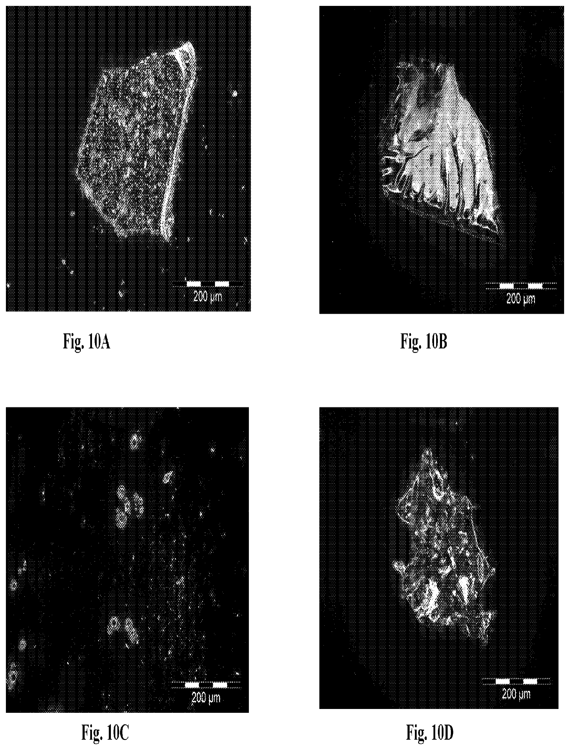 Patent US12129356 Figure 10 – Natural crystalline colorant and process for production