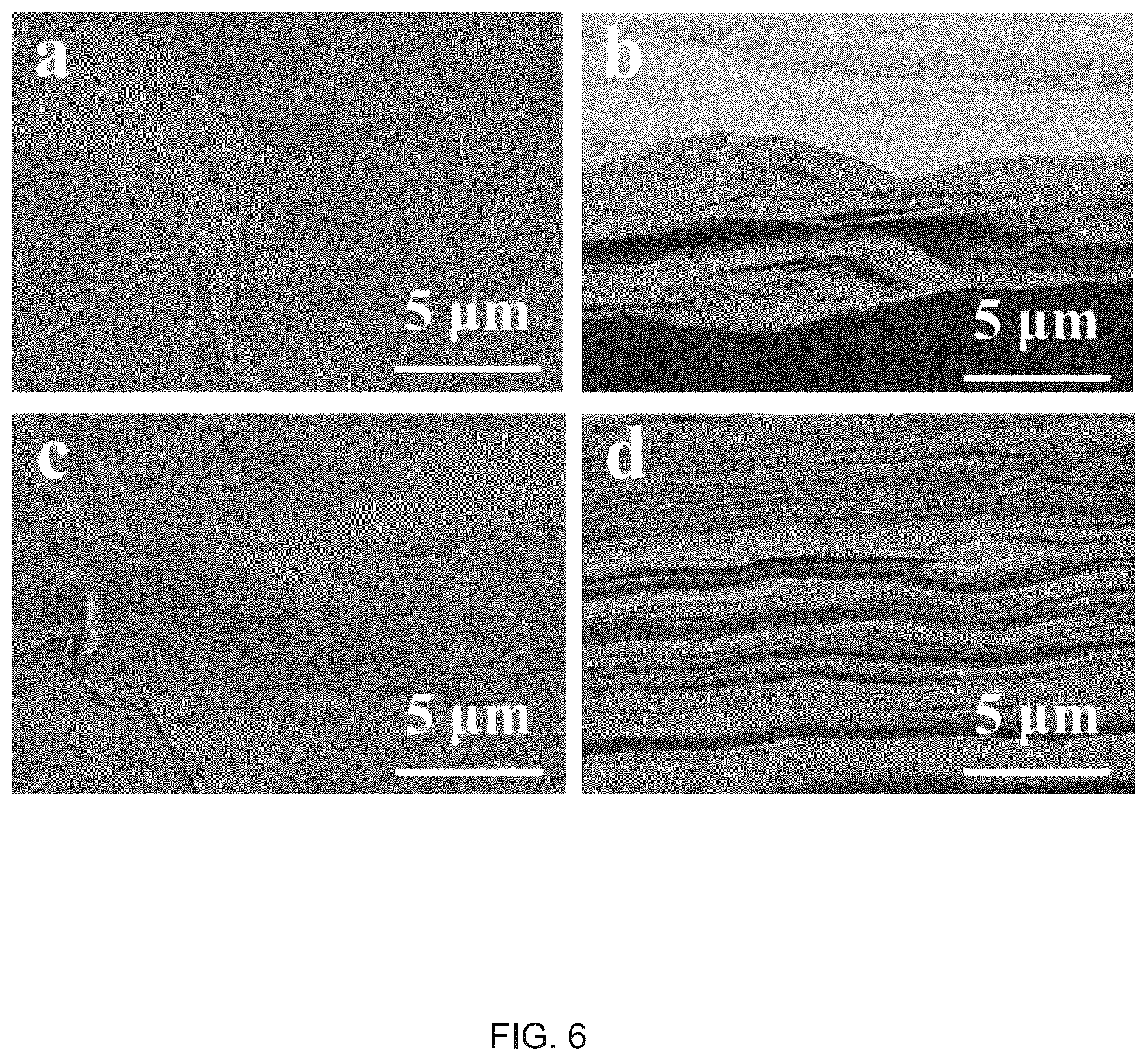 Patent US12129361 Figure 6 – Energy-saving and environment-friendly method for preparing nanocellulose based flexible conductive film