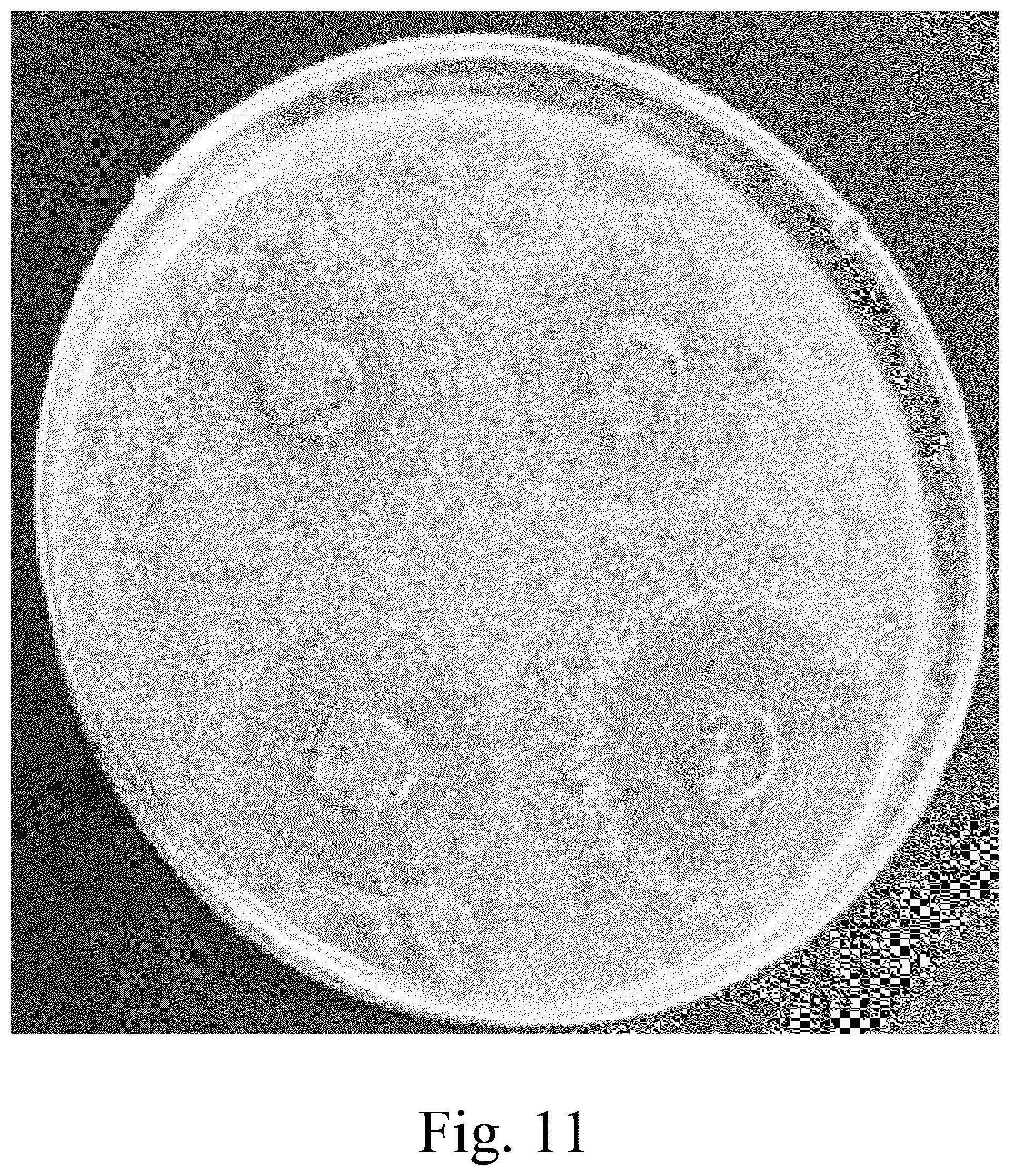 Patent US12129381 Figure 20 – Single vessel solvent based method for making a Zn/Cu composite