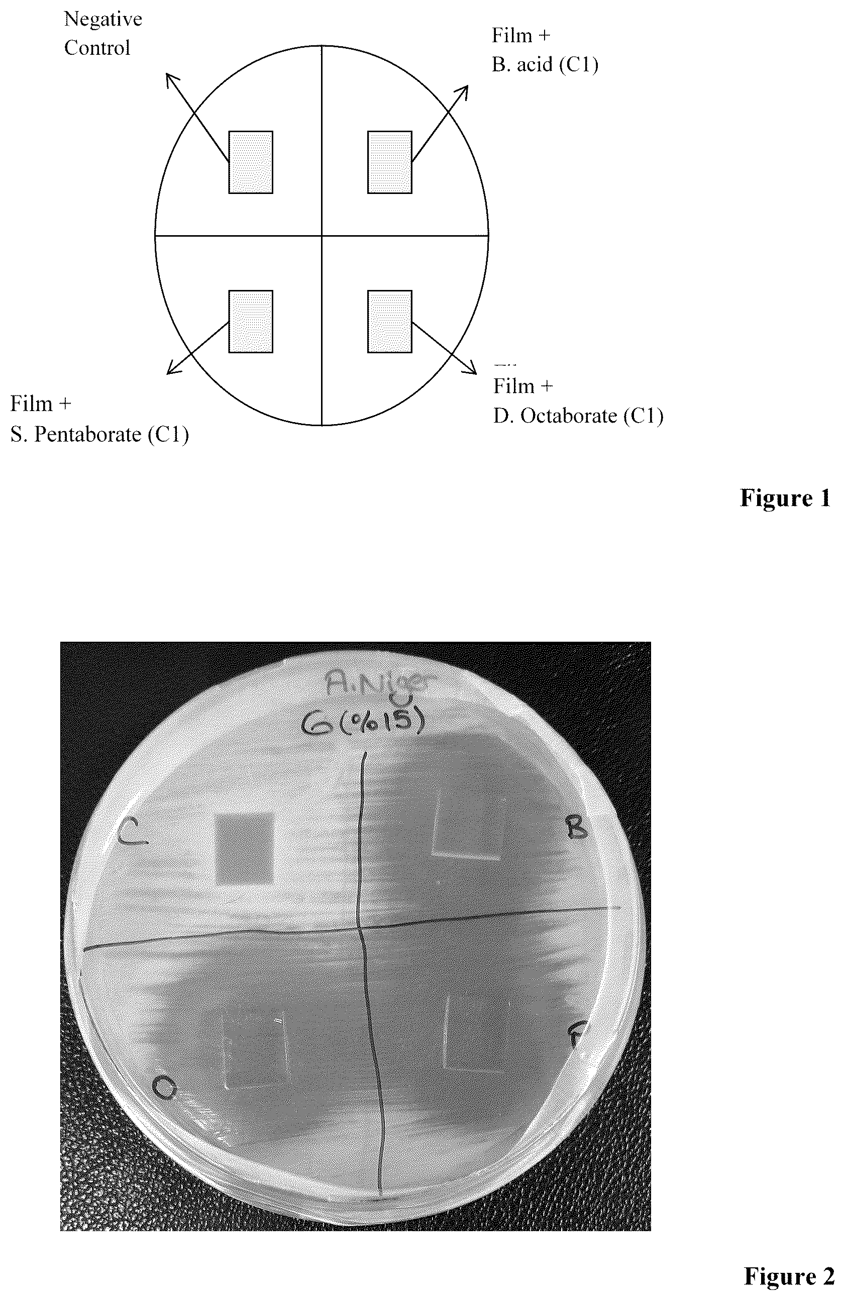 Patent US12129384 Figure 1 – Pectin based antimicrobial surface coating material