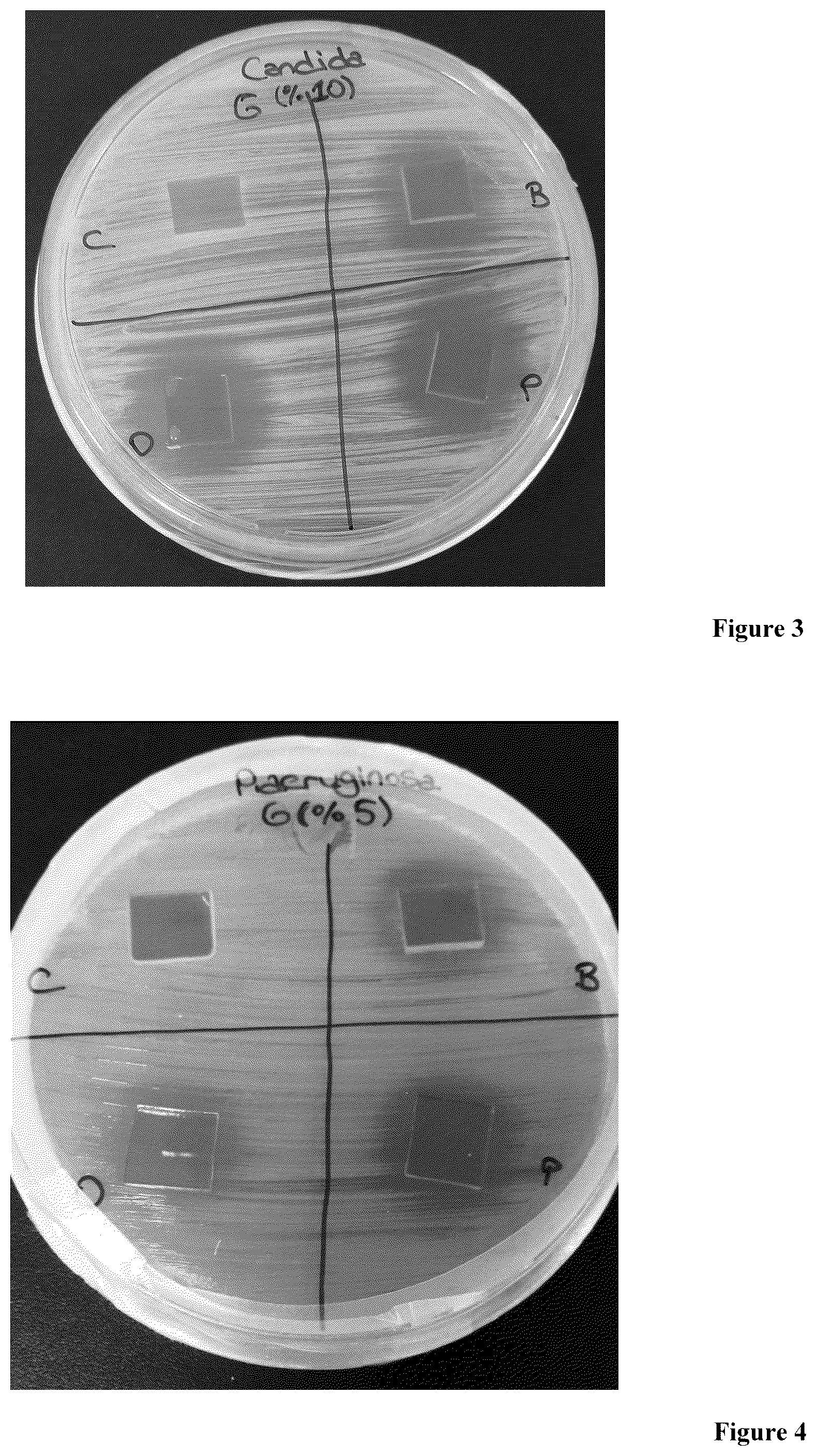 Patent US12129384 Figure 2 – Pectin based antimicrobial surface coating material