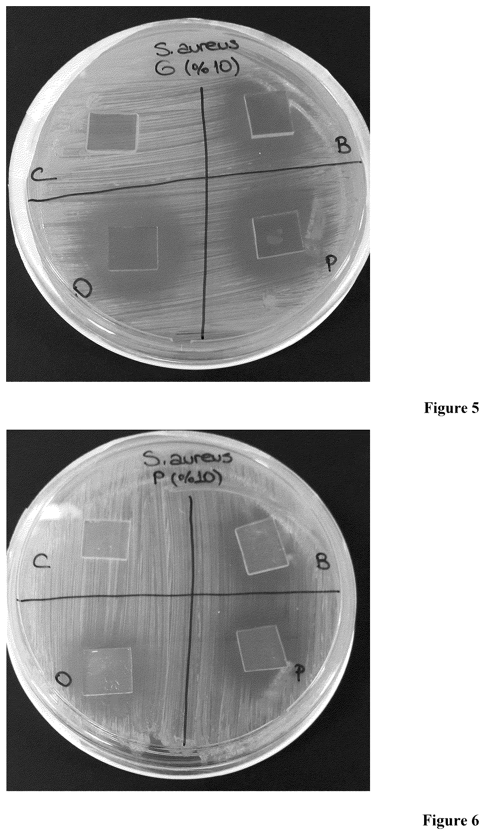 Patent US12129384 Figure 3 – Pectin based antimicrobial surface coating material