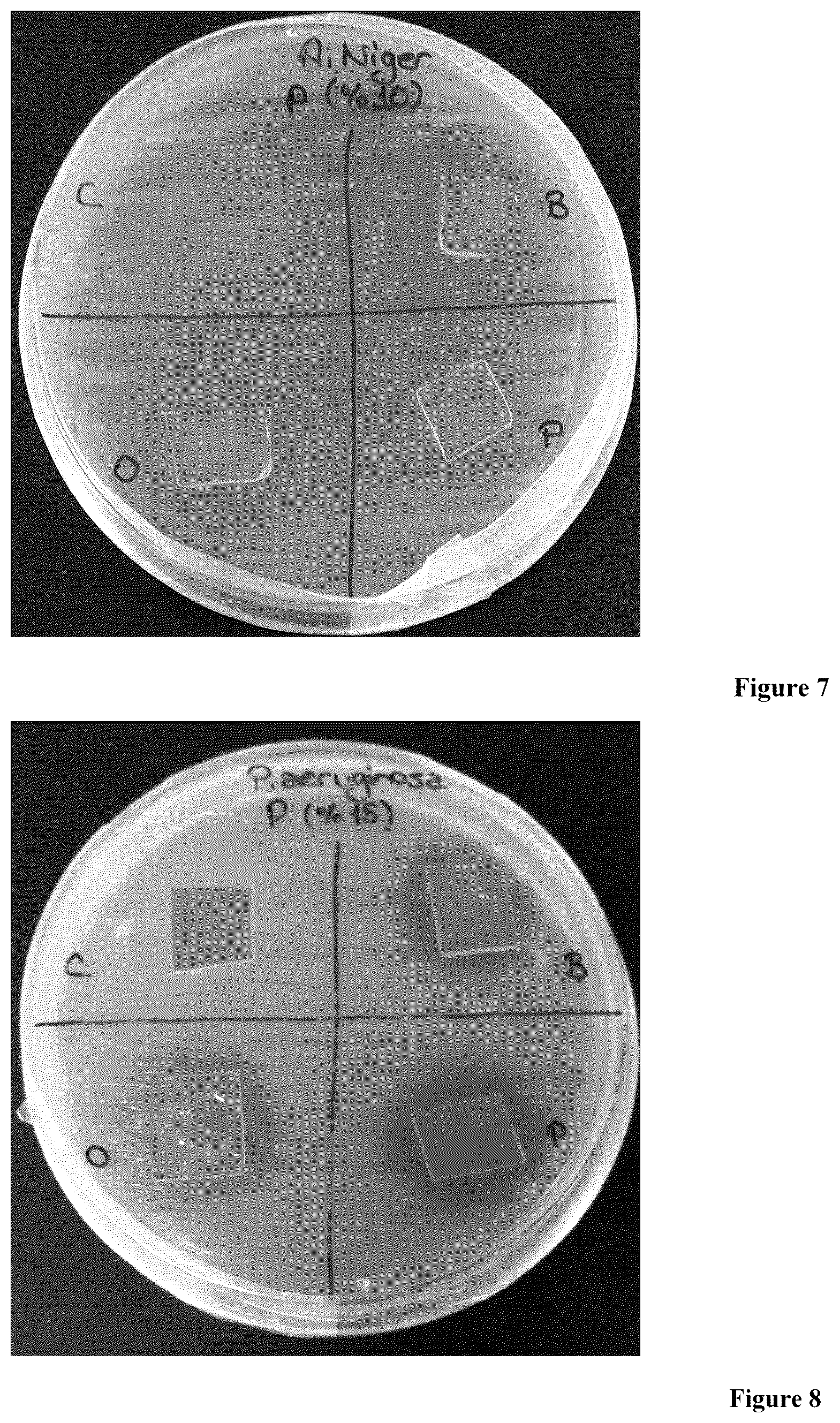 Patent US12129384 Figure 4 – Pectin based antimicrobial surface coating material