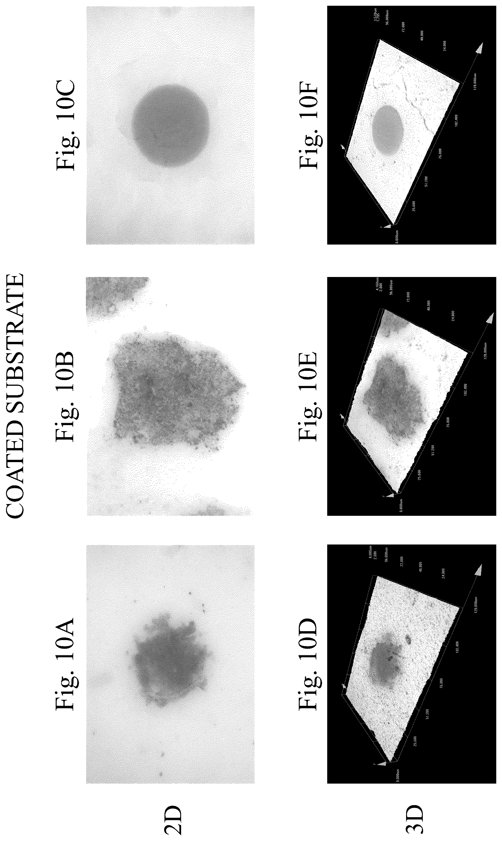 Patent US12129388 Figure 12 – Ink formulations and film constructions thereof