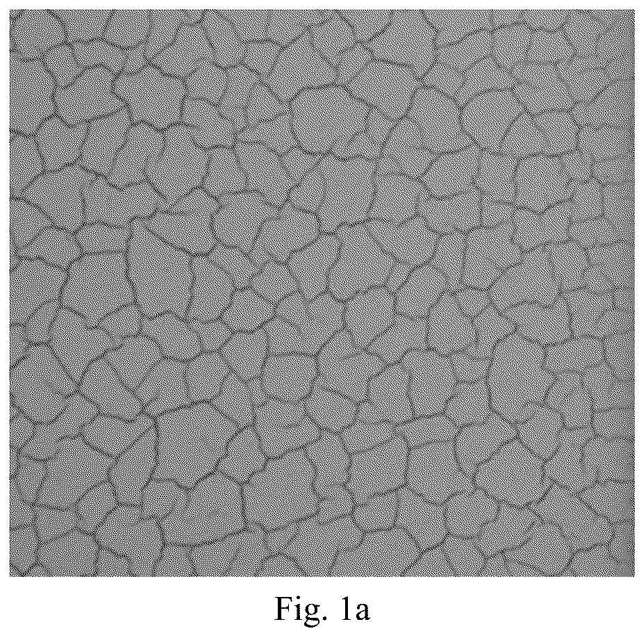 Patent US12129401 Figure 1 – Cracks-controllable coating and preparation method thereof