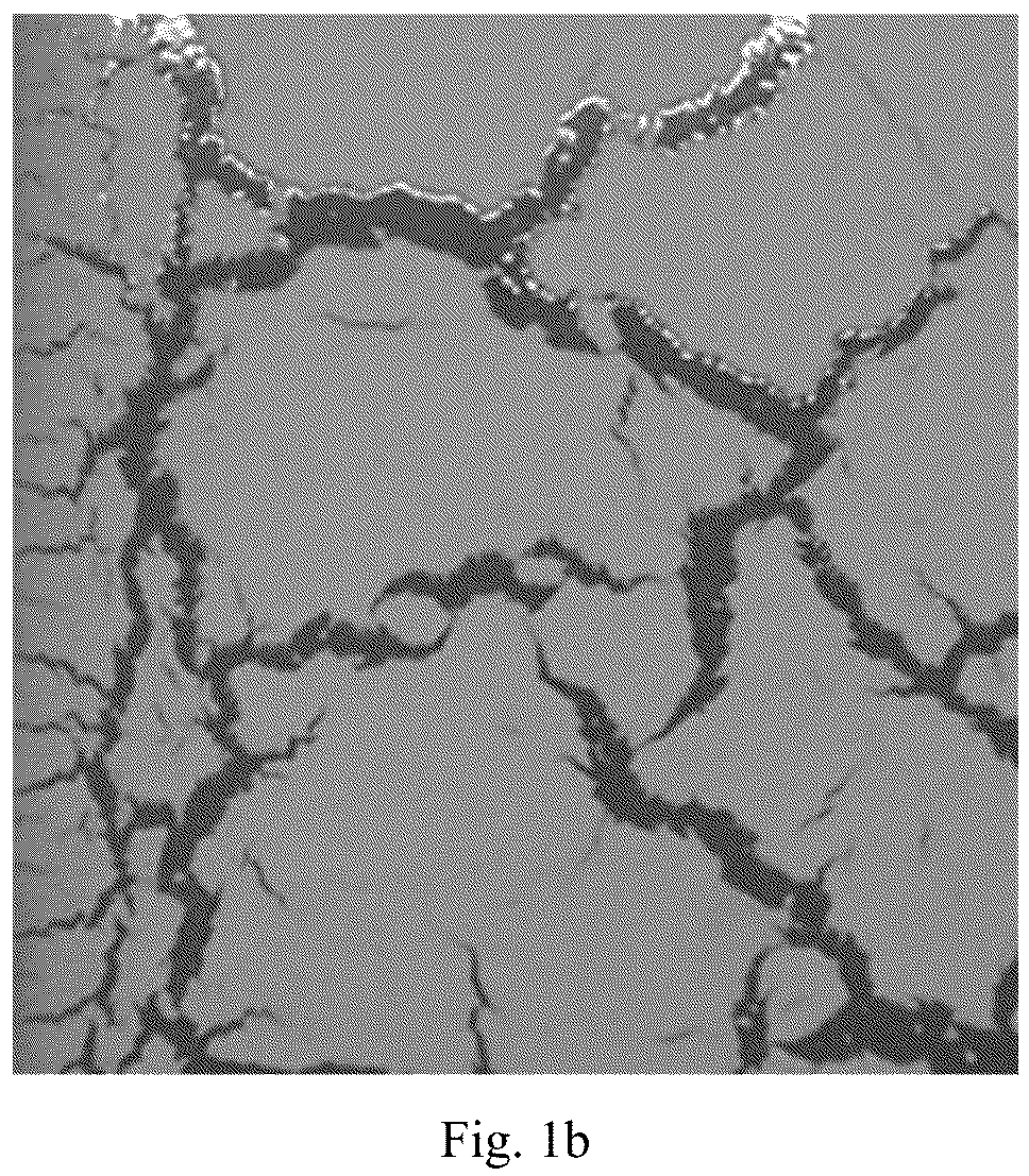 Patent US12129401 Figure 2 – Cracks-controllable coating and preparation method thereof
