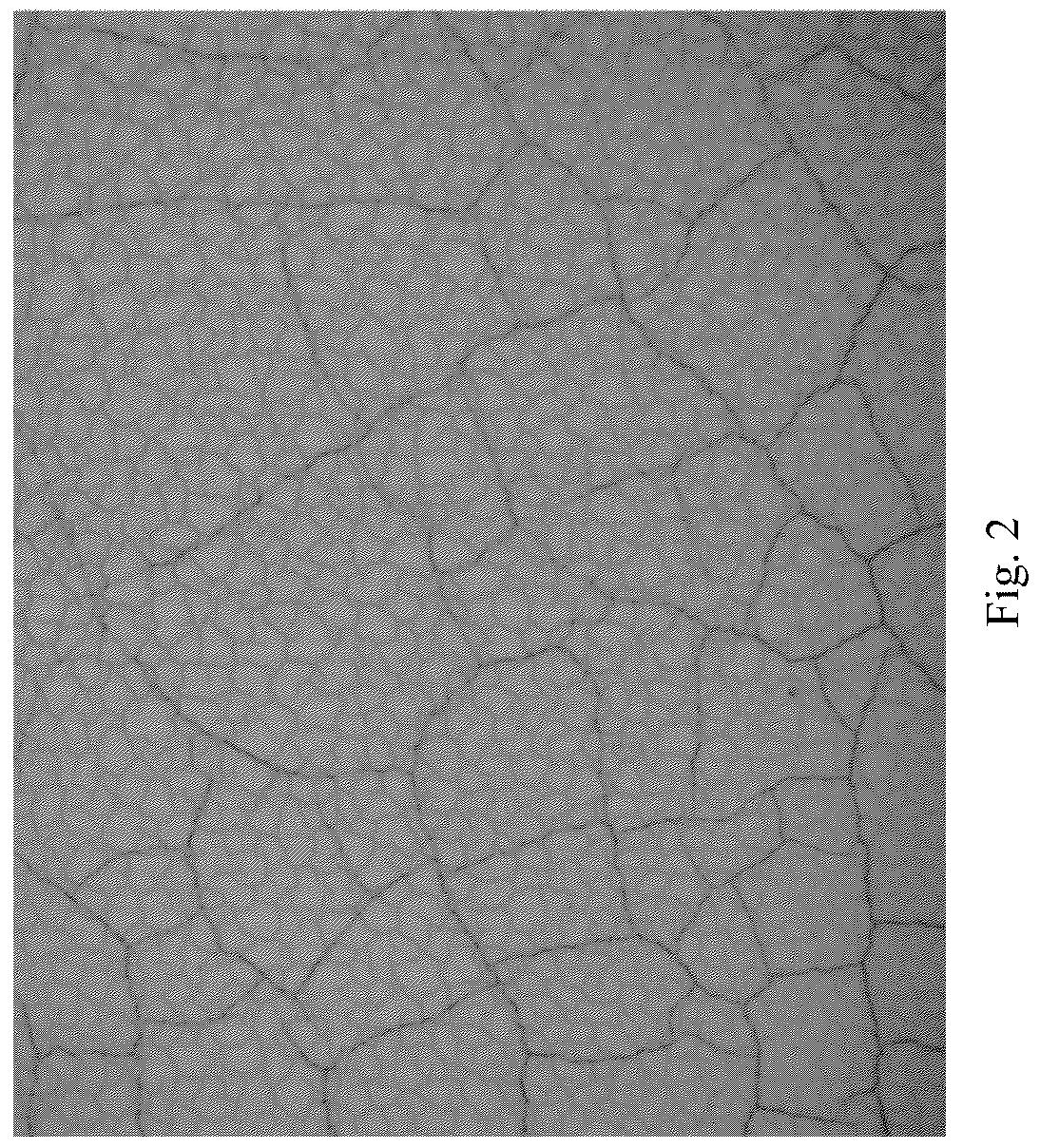 Patent US12129401 Figure 3 – Cracks-controllable coating and preparation method thereof