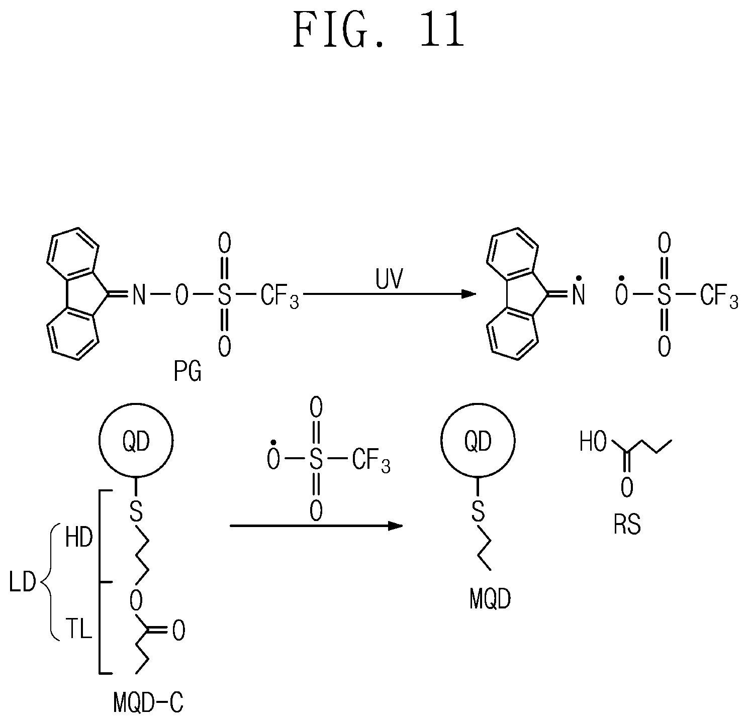 Patent US12129416 Figure 8 – Quantum dot composition, light emitting element, and method for manufacturing the same