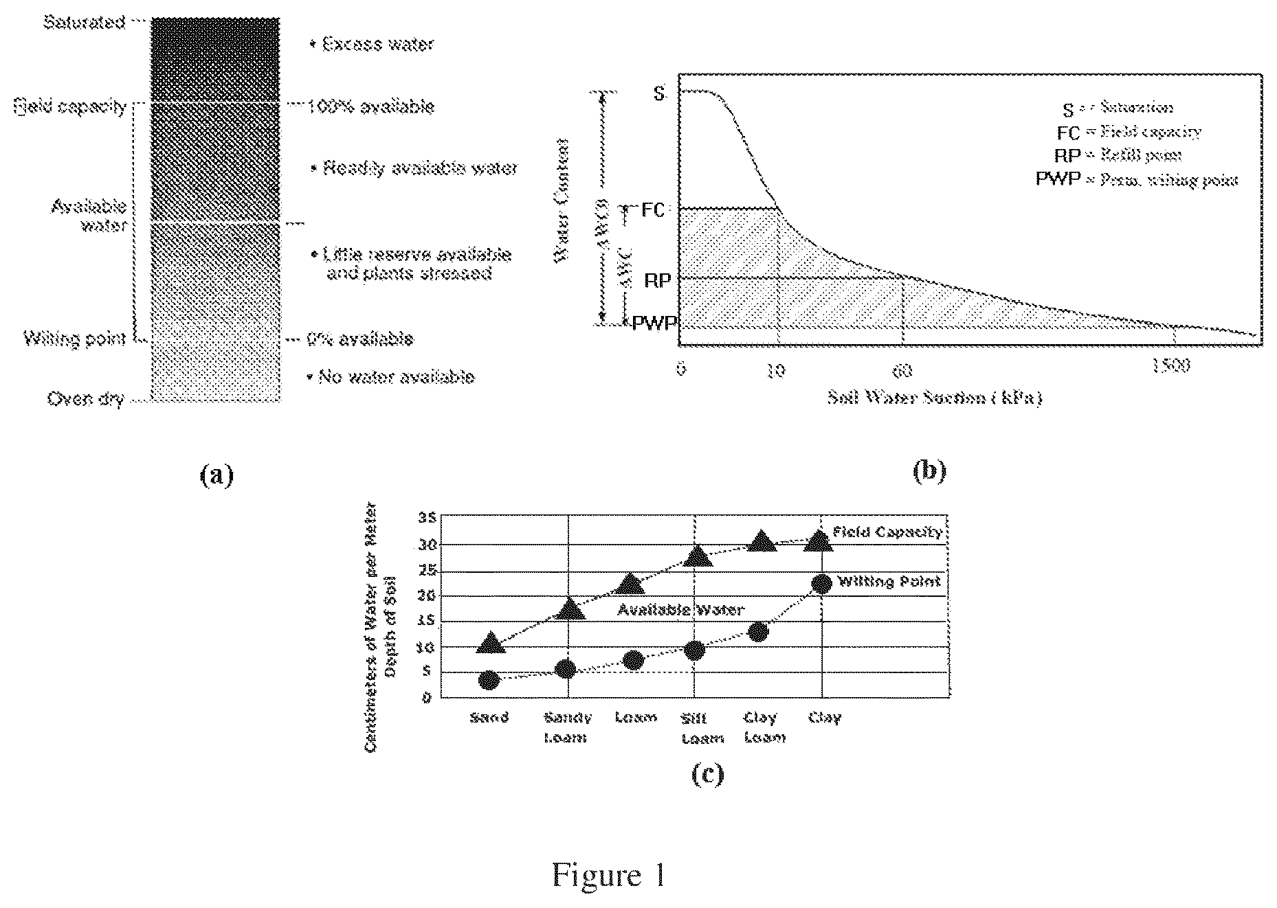 Patent US12129419 — Polymeric composition for use as soil conditioner with improved water absorbency during watering of the agricultural crops — Figure 1