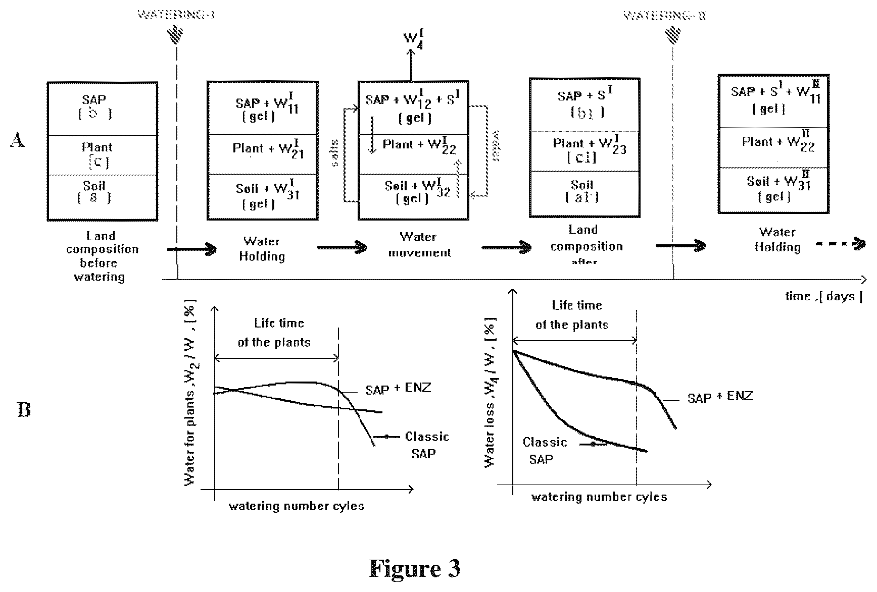 Patent US12129419 Figure 3 – Polymeric composition for use as soil conditioner with improved water absorbency during watering of the agricultural crops