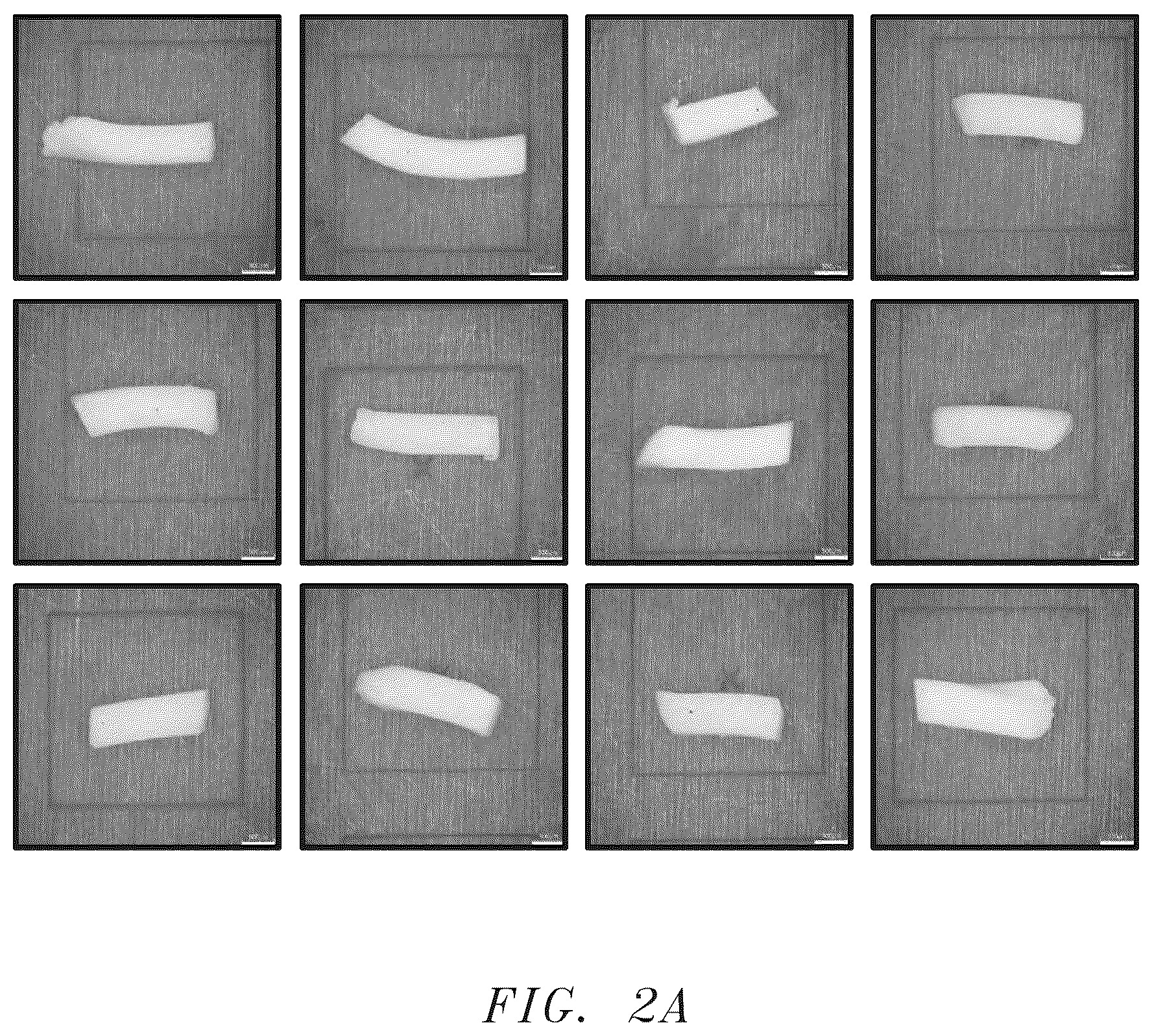 Patent US12129422 Figure 3 – Abrasive articles and methods of forming same