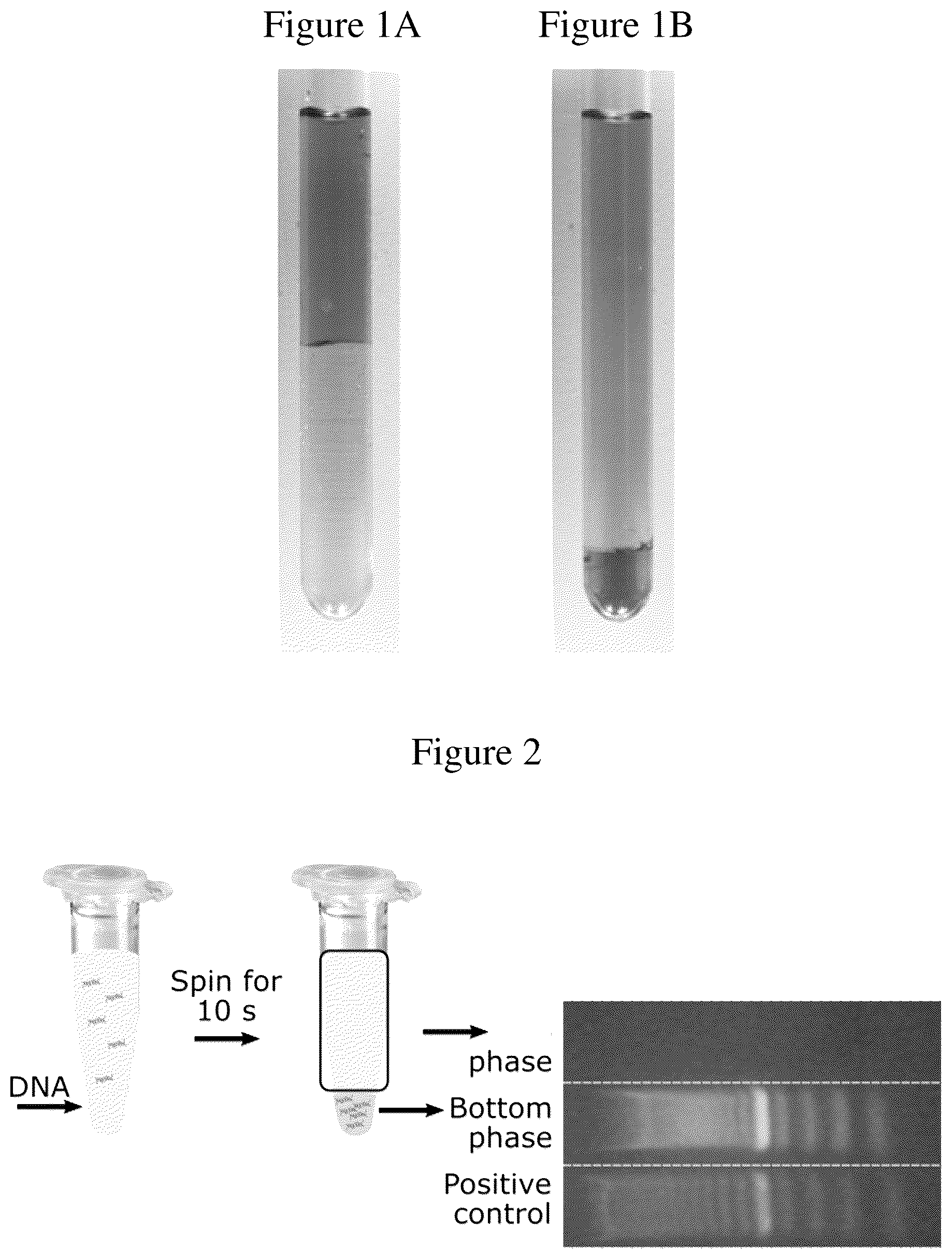 Patent US12129459 — Method for using aqueous two-phase system for the isolation, purification and/or concentration of short nucleic acid fragments — Figure 1