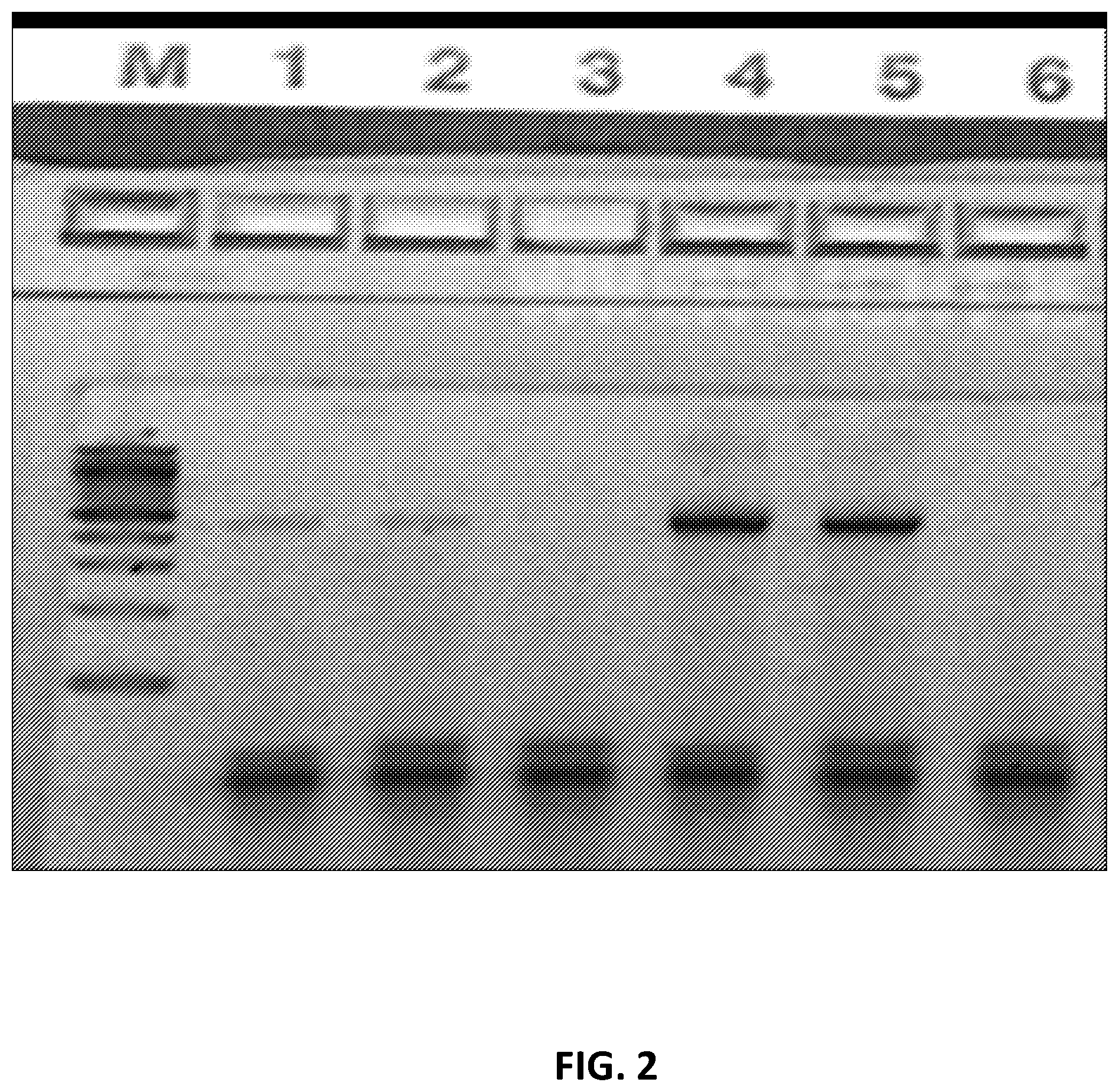 Patent US12129462 Figure 2 – Single cell bar-coding for antibody discovery