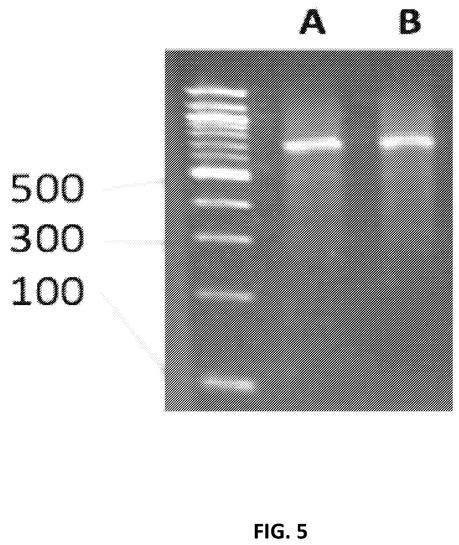 Patent US12129462 Figure 5 – Single cell bar-coding for antibody discovery