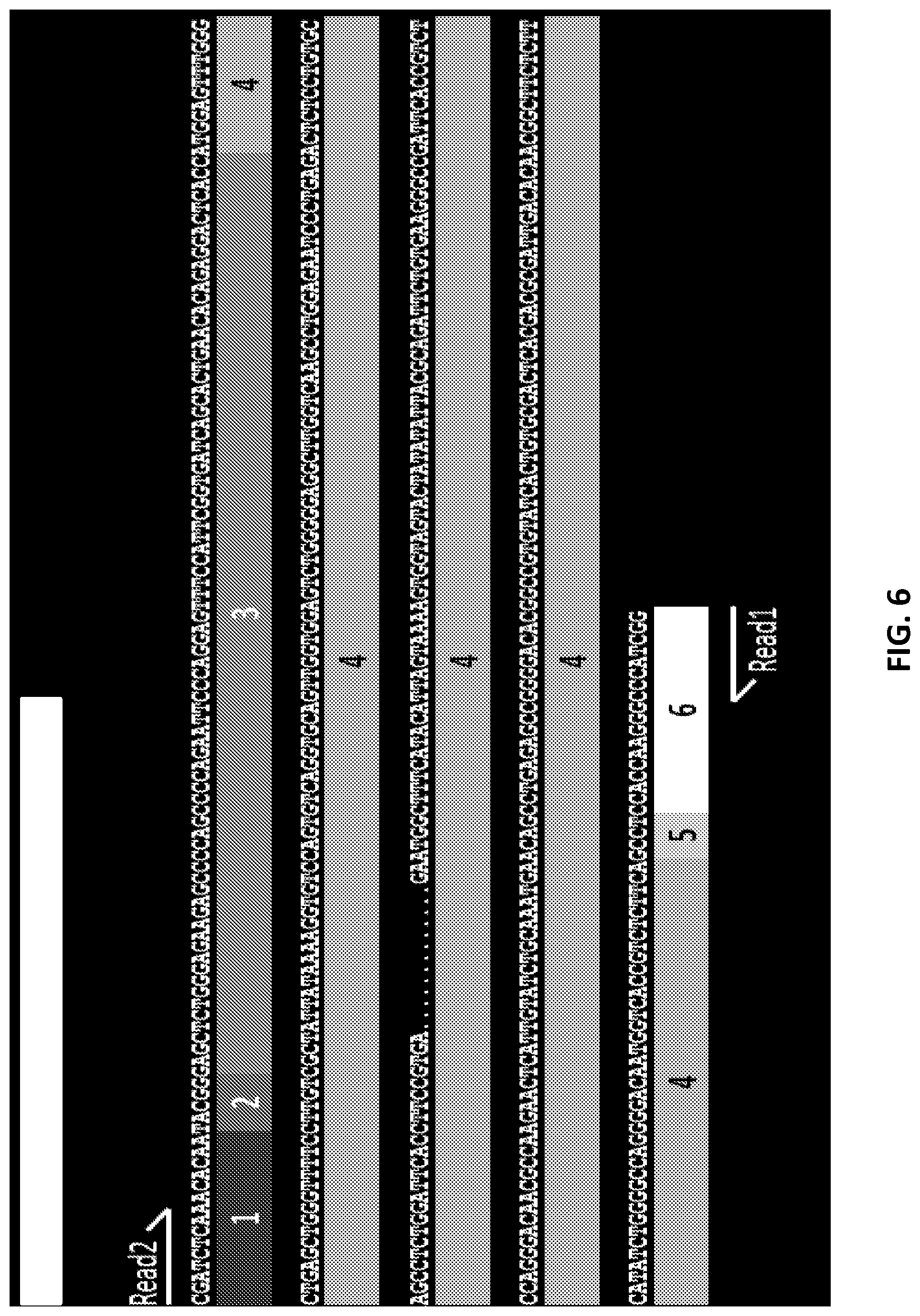 Patent US12129462 Figure 6 – Single cell bar-coding for antibody discovery