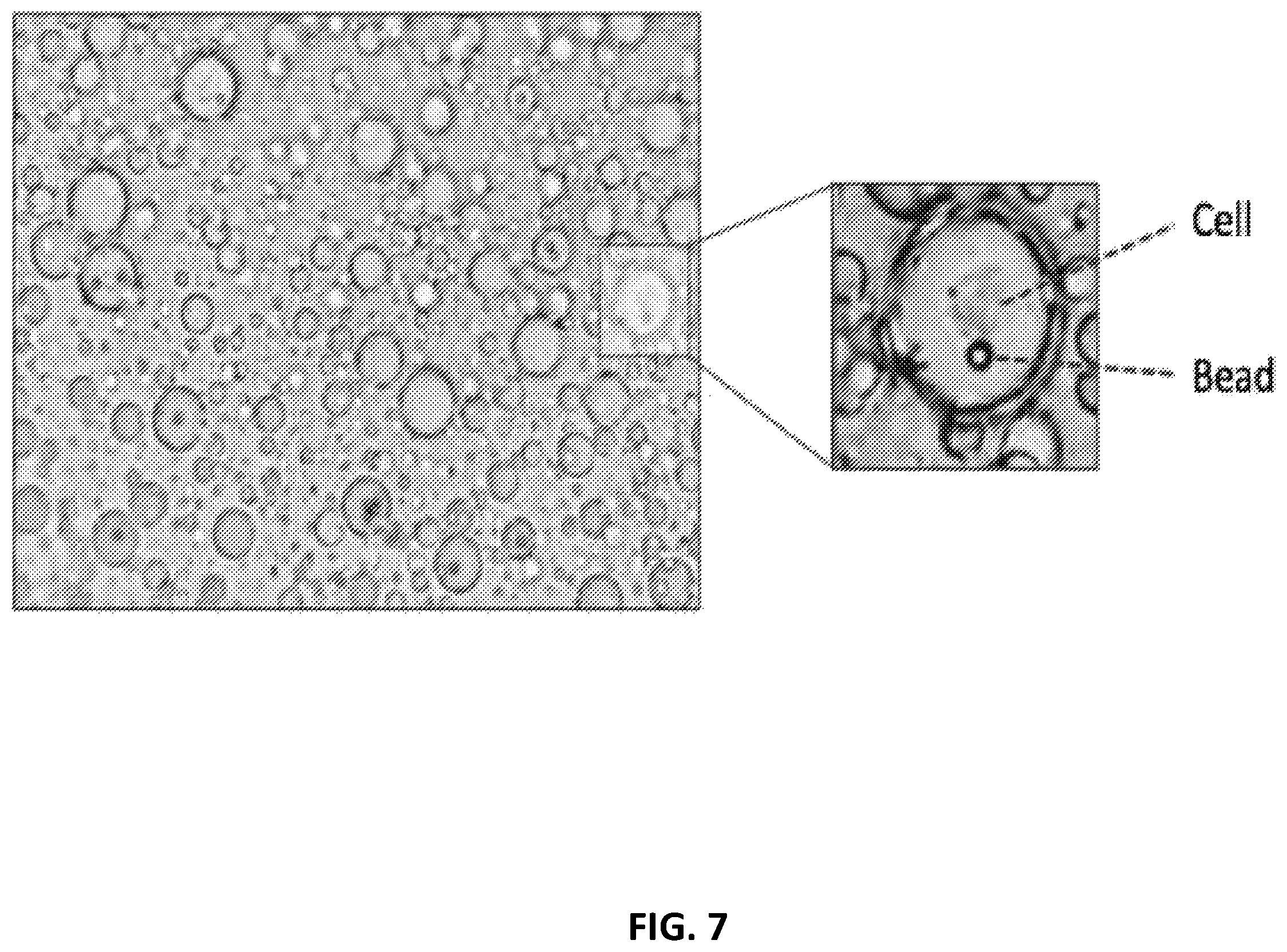 Patent US12129462 Figure 7 – Single cell bar-coding for antibody discovery