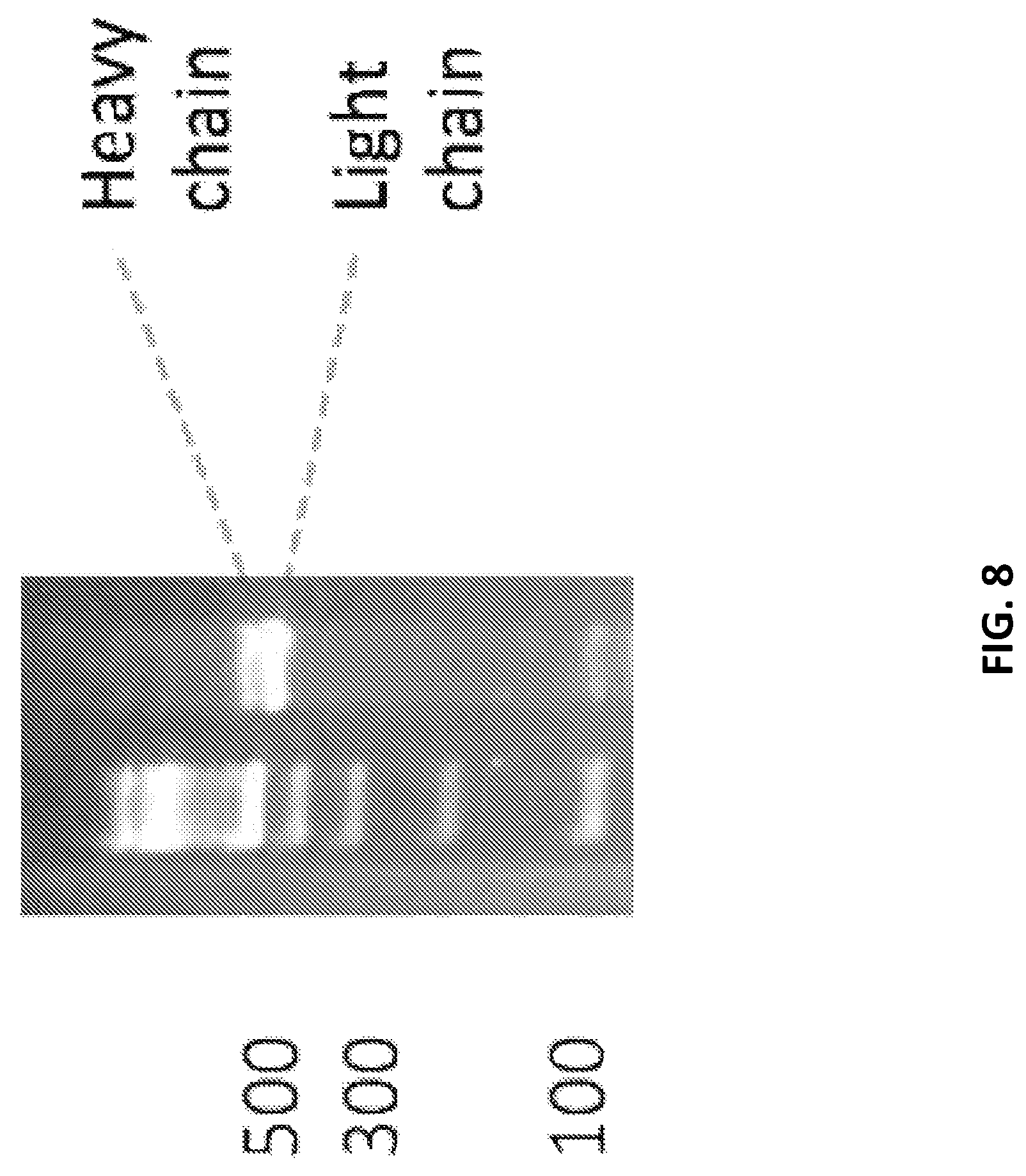 Patent US12129462 Figure 8 – Single cell bar-coding for antibody discovery