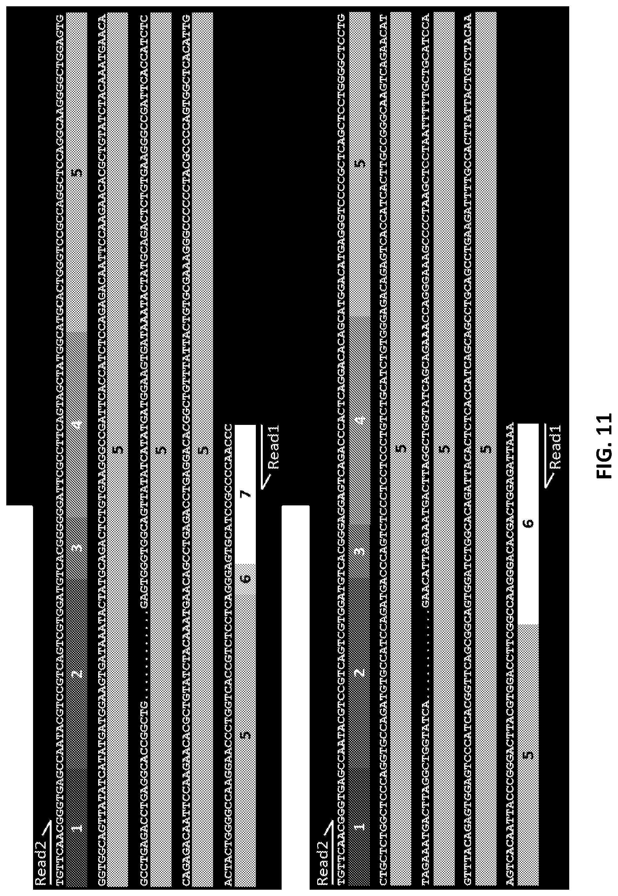 Patent US12129462 Figure 11 – Single cell bar-coding for antibody discovery