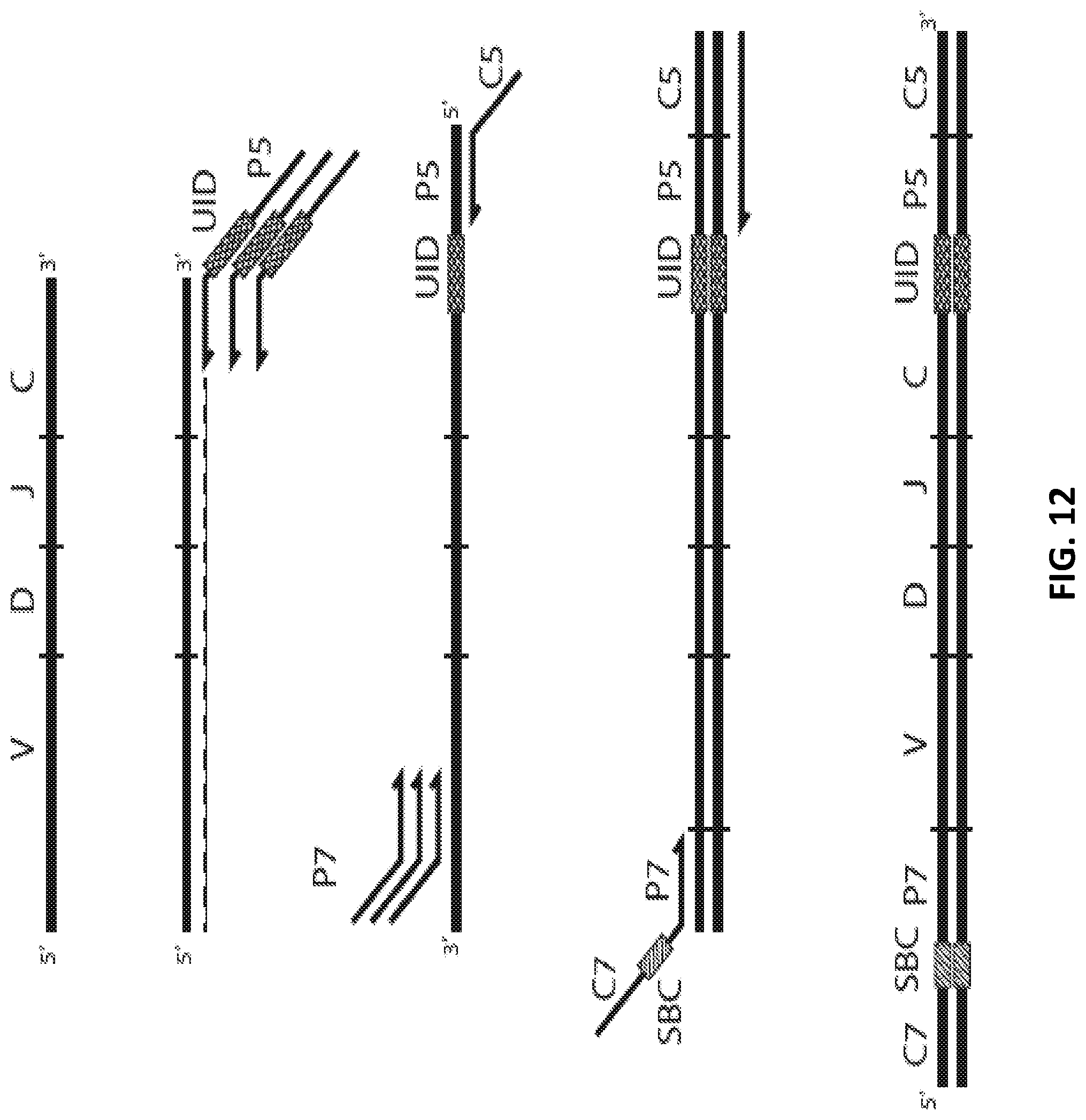 Patent US12129462 Figure 12 – Single cell bar-coding for antibody discovery