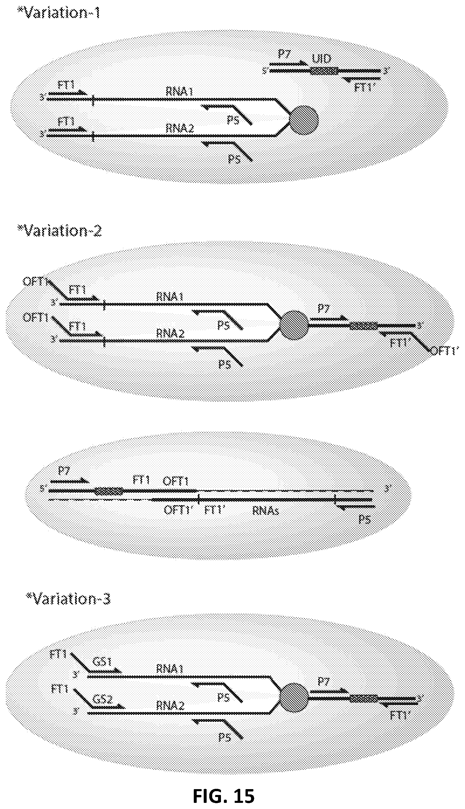 Patent US12129462 Figure 16 – Single cell bar-coding for antibody discovery