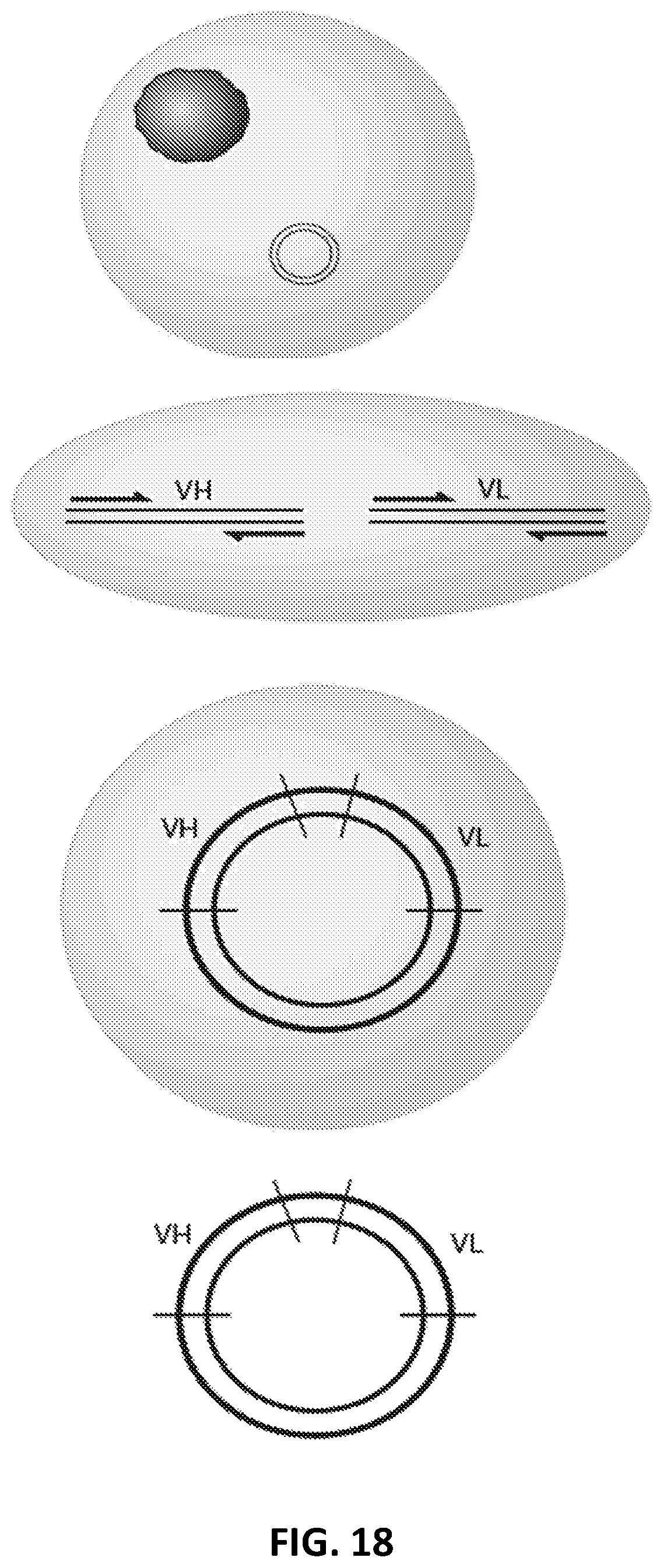 Patent US12129462 Figure 19 – Single cell bar-coding for antibody discovery