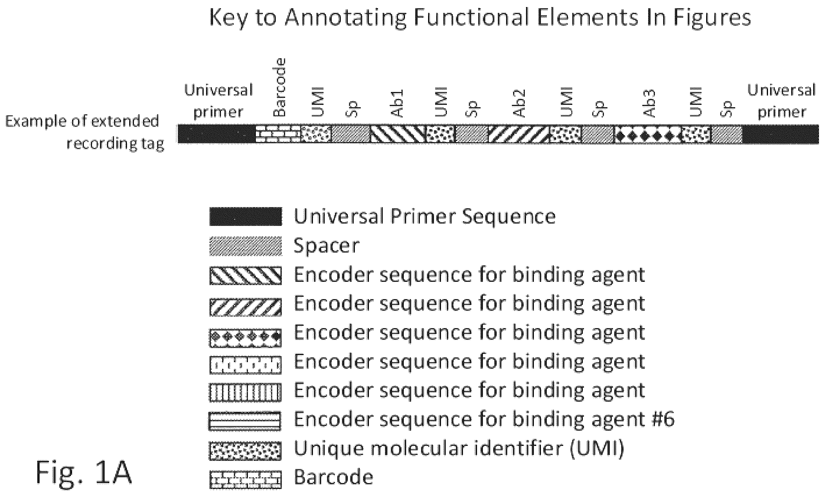 Patent US12129463 Figure 1 – Methods and kits using nucleic acid encoding and/or label