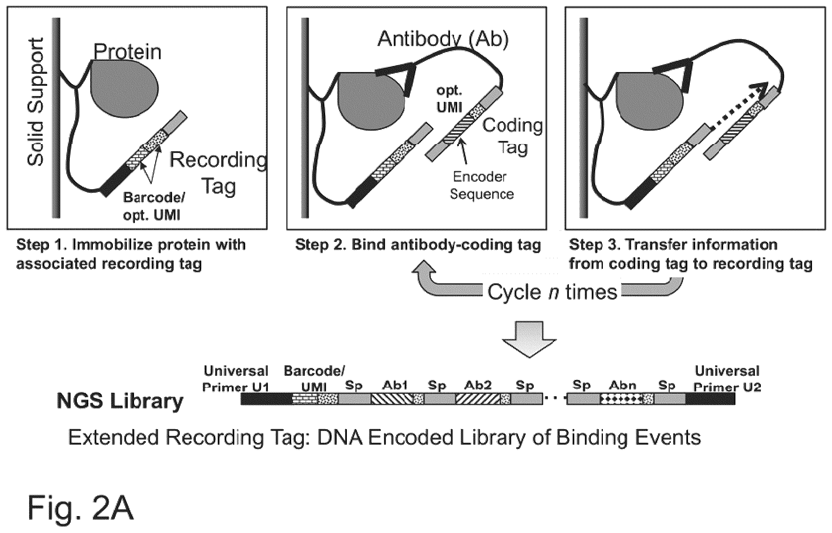 Patent US12129463 Figure 3 – Methods and kits using nucleic acid encoding and/or label