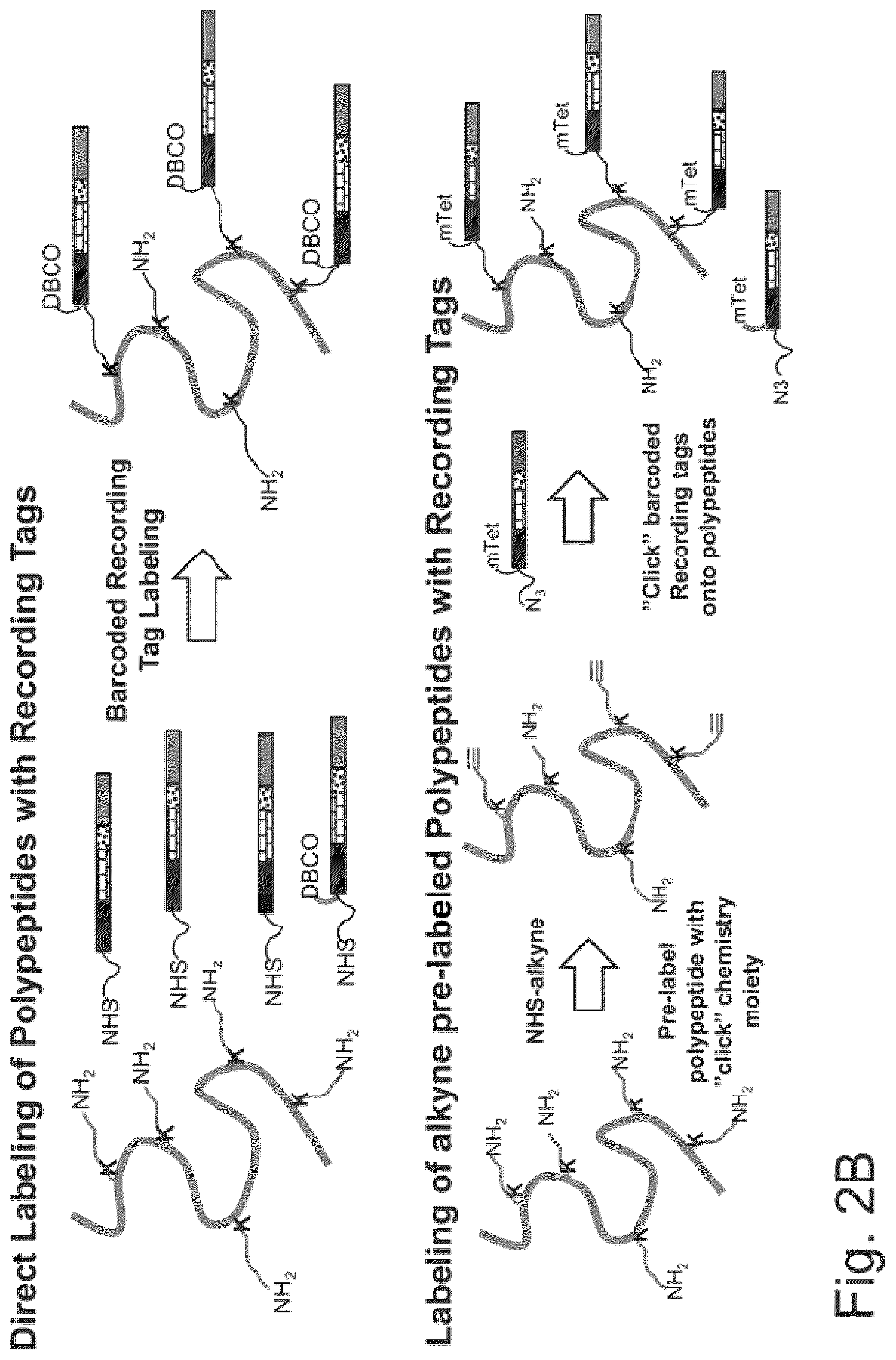 Patent US12129463 Figure 4 – Methods and kits using nucleic acid encoding and/or label