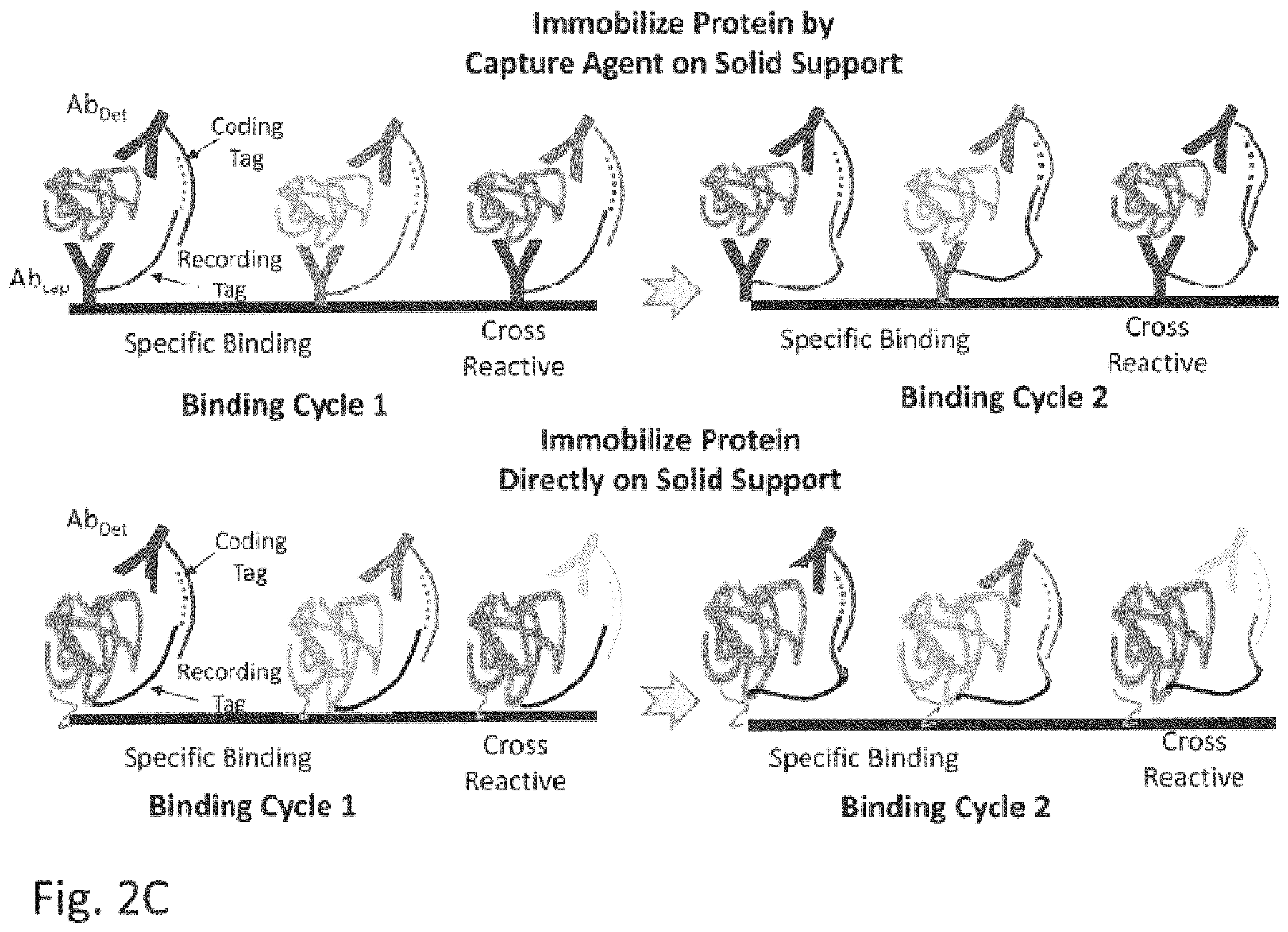 Patent US12129463 Figure 5 – Methods and kits using nucleic acid encoding and/or label