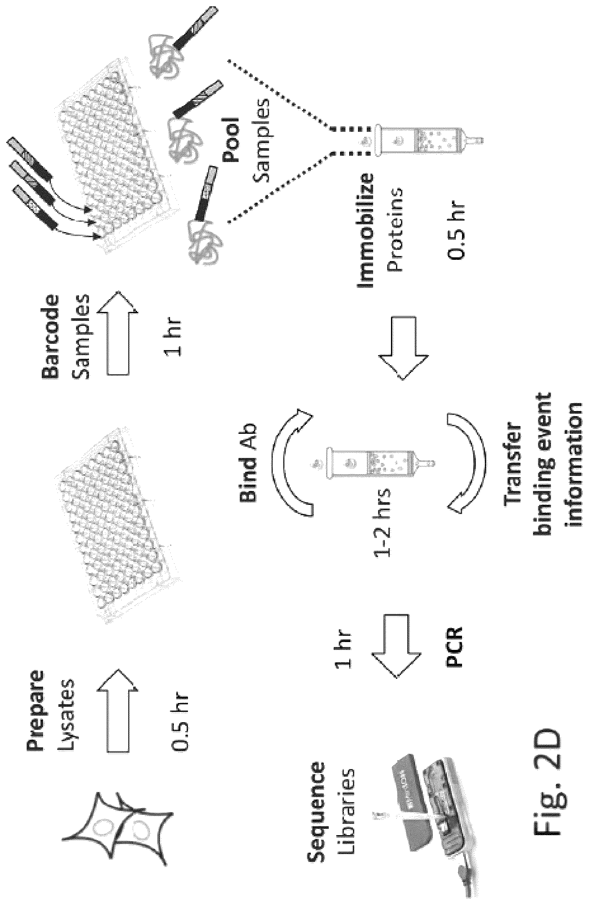 Patent US12129463 Figure 6 – Methods and kits using nucleic acid encoding and/or label