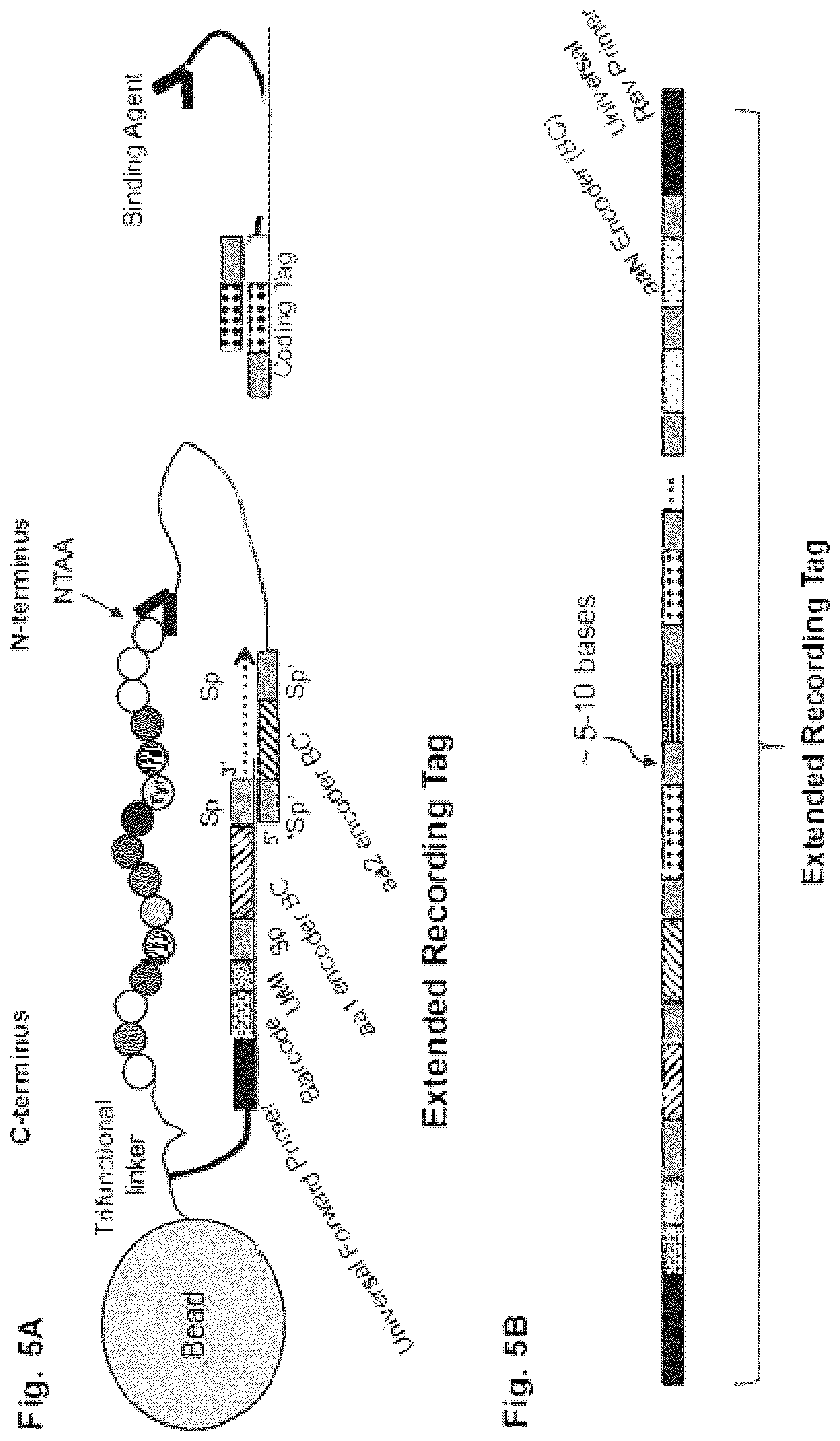 Patent US12129463 Figure 10 – Methods and kits using nucleic acid encoding and/or label