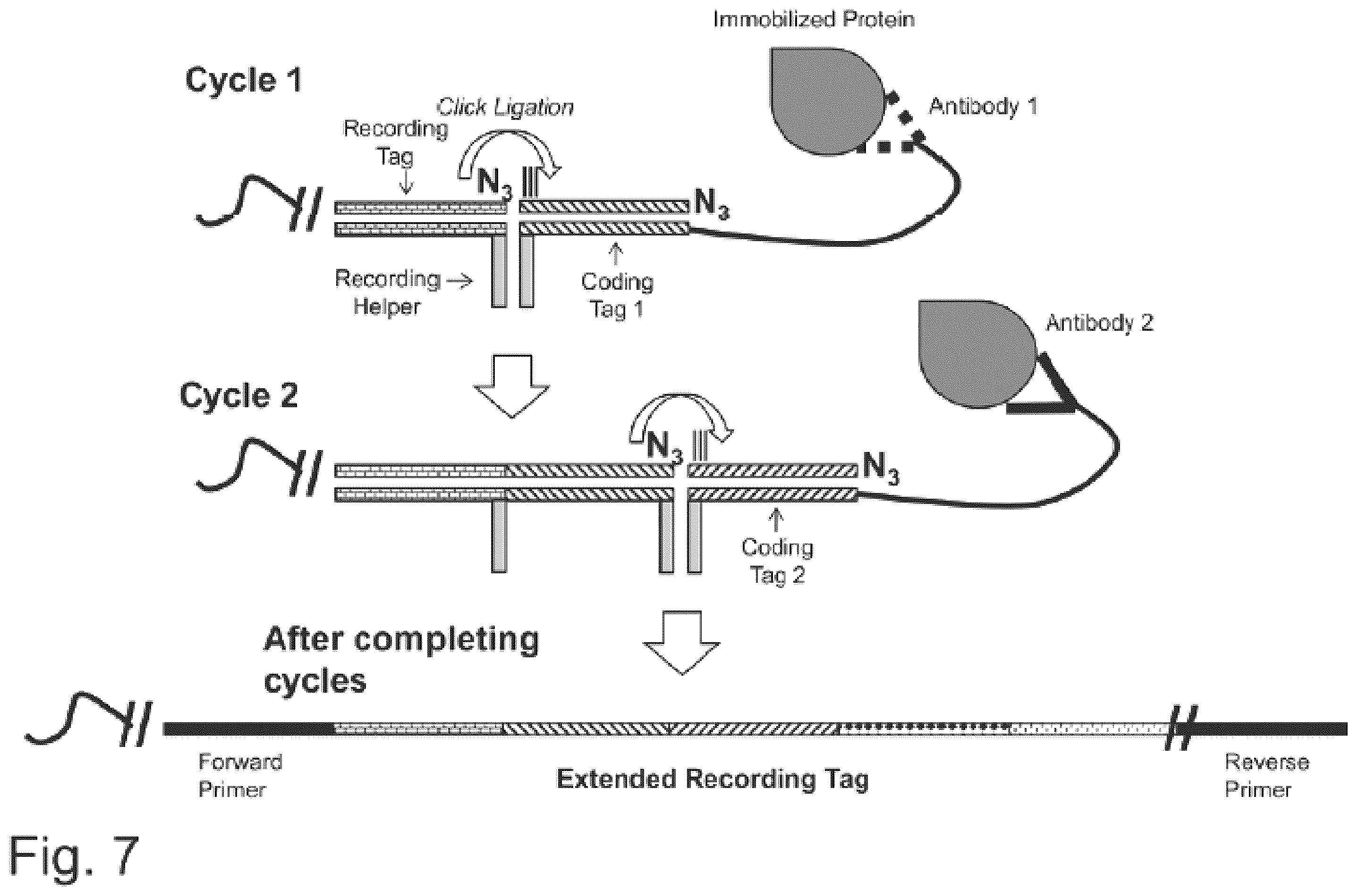 Patent US12129463 Figure 12 – Methods and kits using nucleic acid encoding and/or label