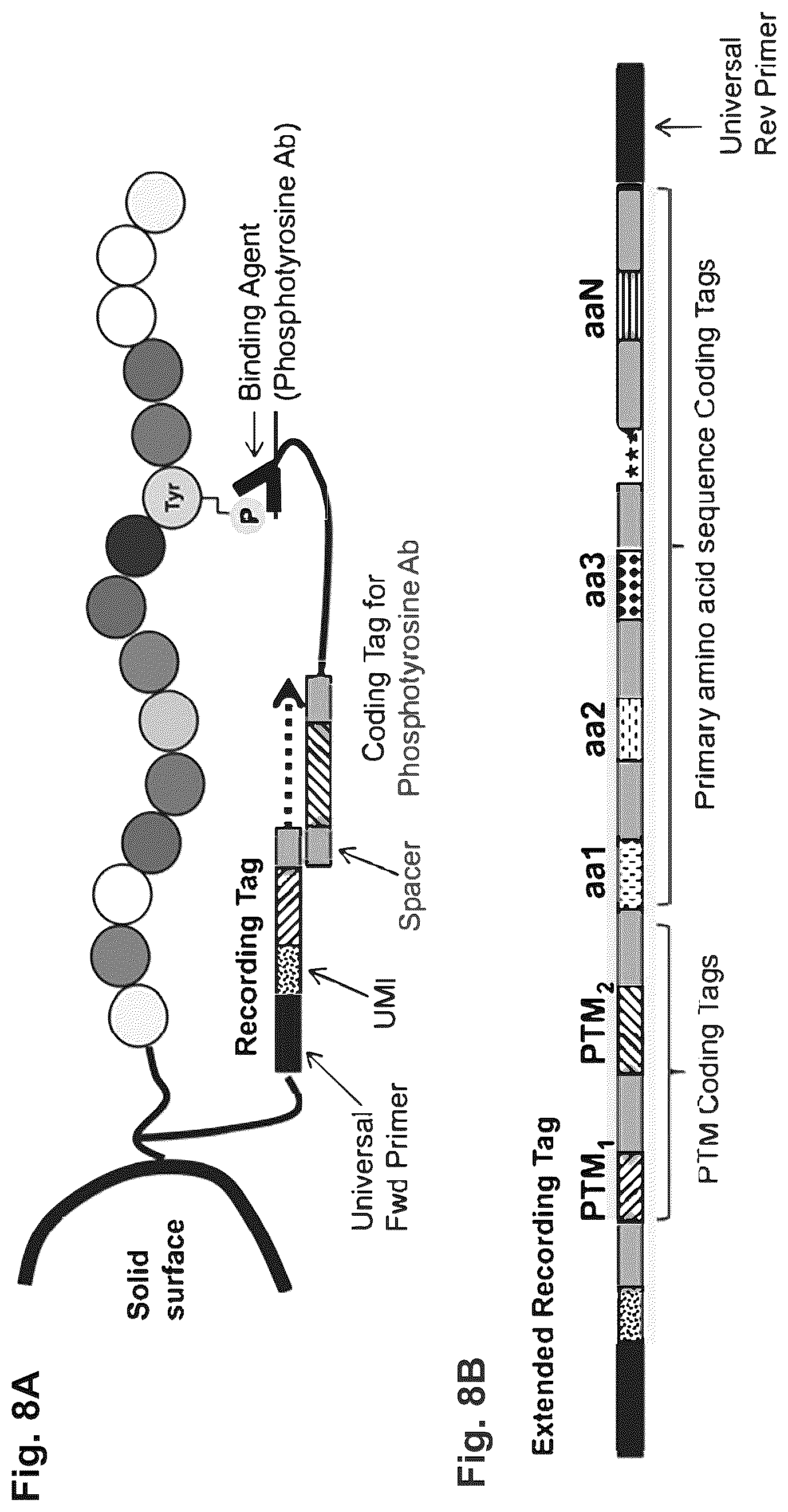 Patent US12129463 Figure 13 – Methods and kits using nucleic acid encoding and/or label