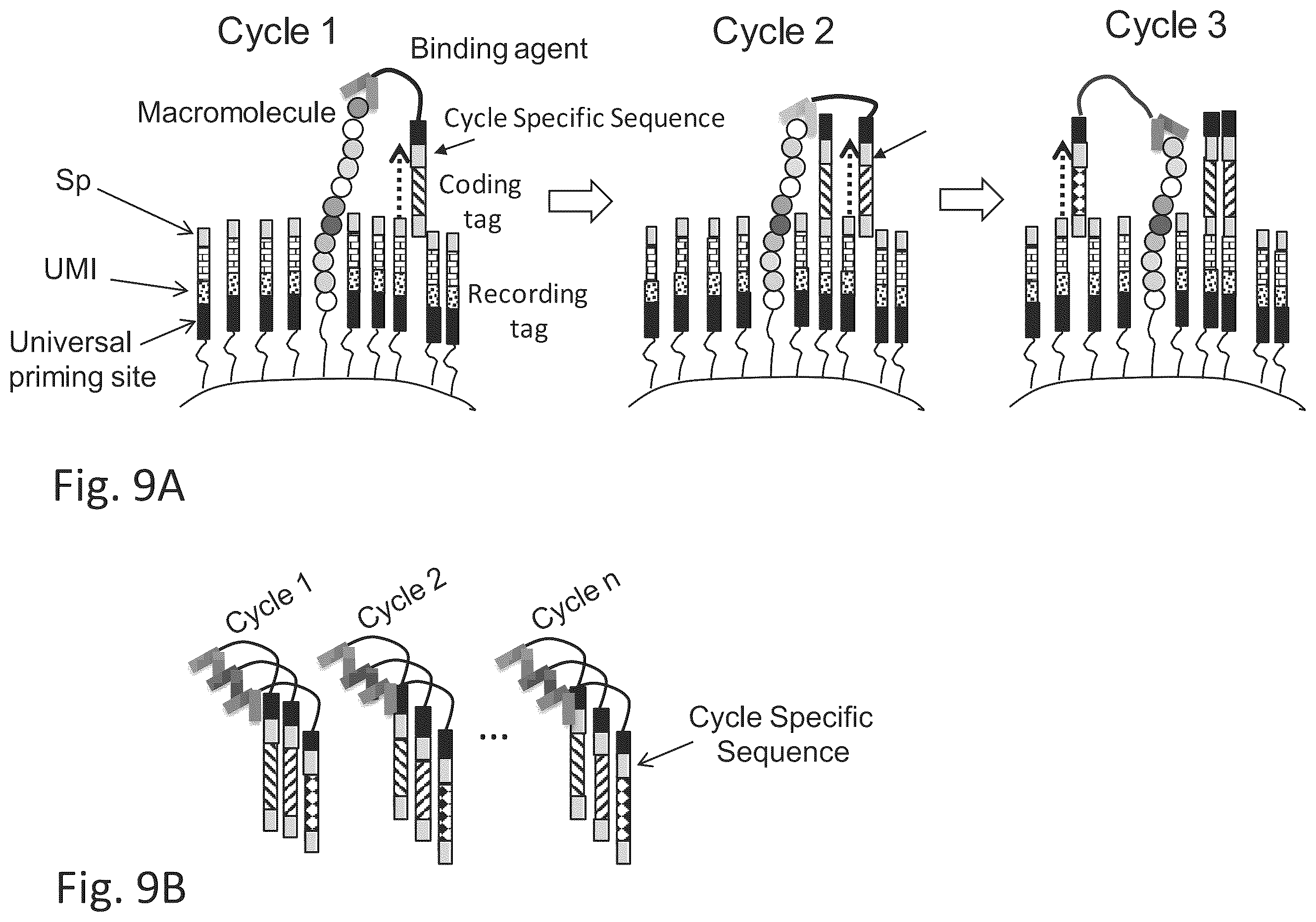 Patent US12129463 Figure 14 – Methods and kits using nucleic acid encoding and/or label