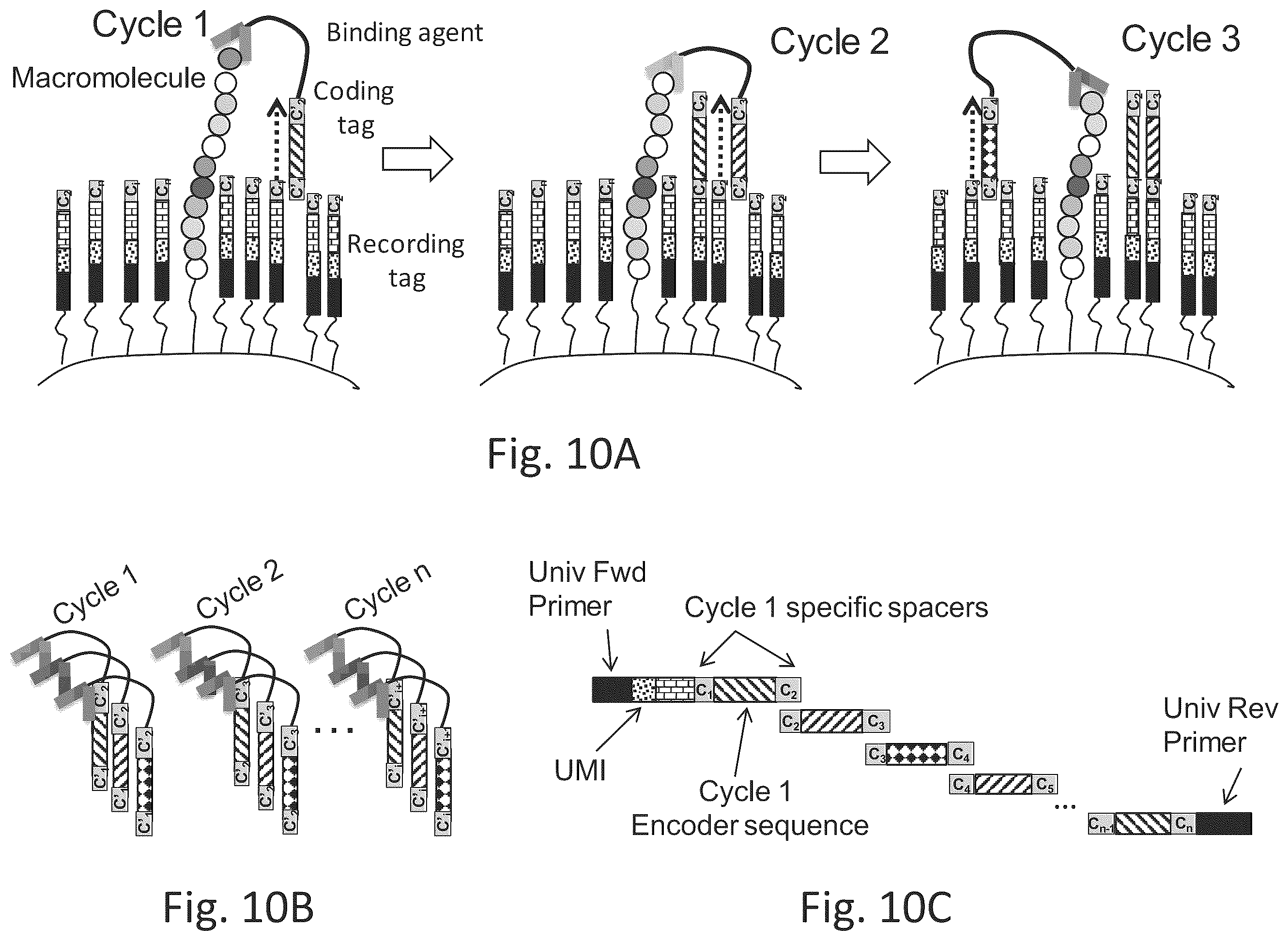 Patent US12129463 Figure 15 – Methods and kits using nucleic acid encoding and/or label